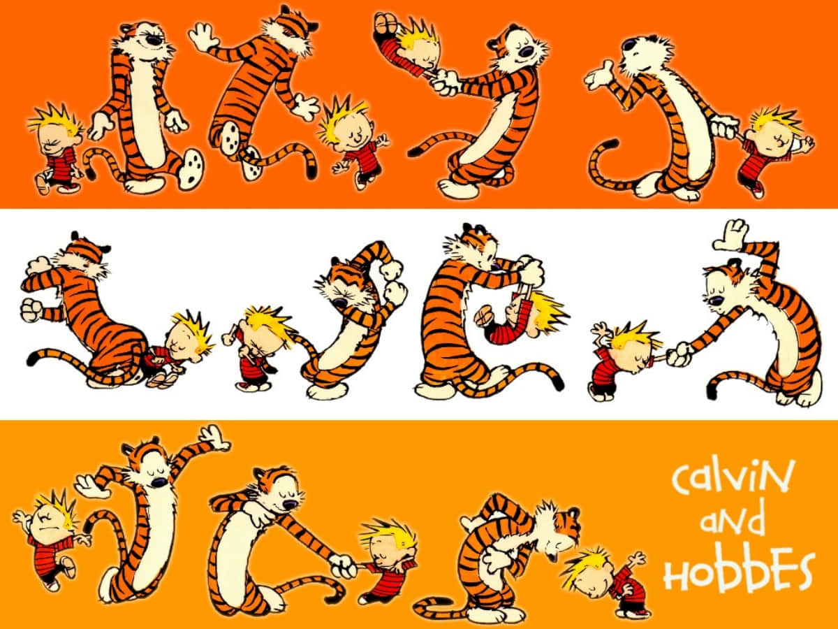 Calvin與Hobbes圖案設計 壁紙 — 卡爾文與霍布斯卡通角色在充滿活力的橙色和白色面板中嬉戲摔角。
