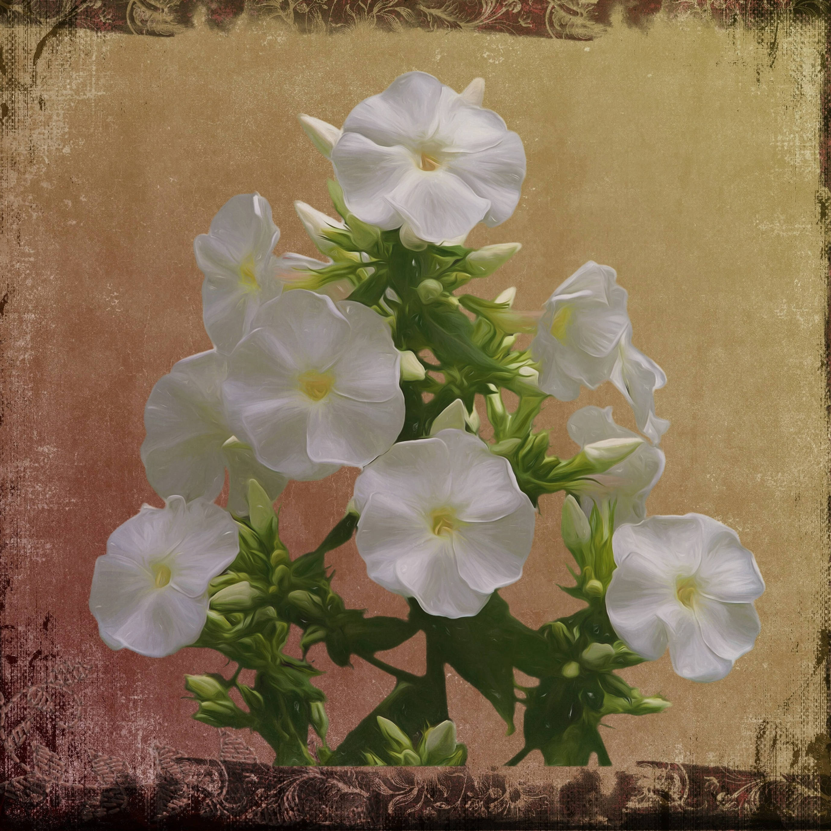 Canva 白色花朵藝術 壁紙 — 一簇白色花朵，黃色花心，在帶有華麗邊框的紋理復古背景上綻放。