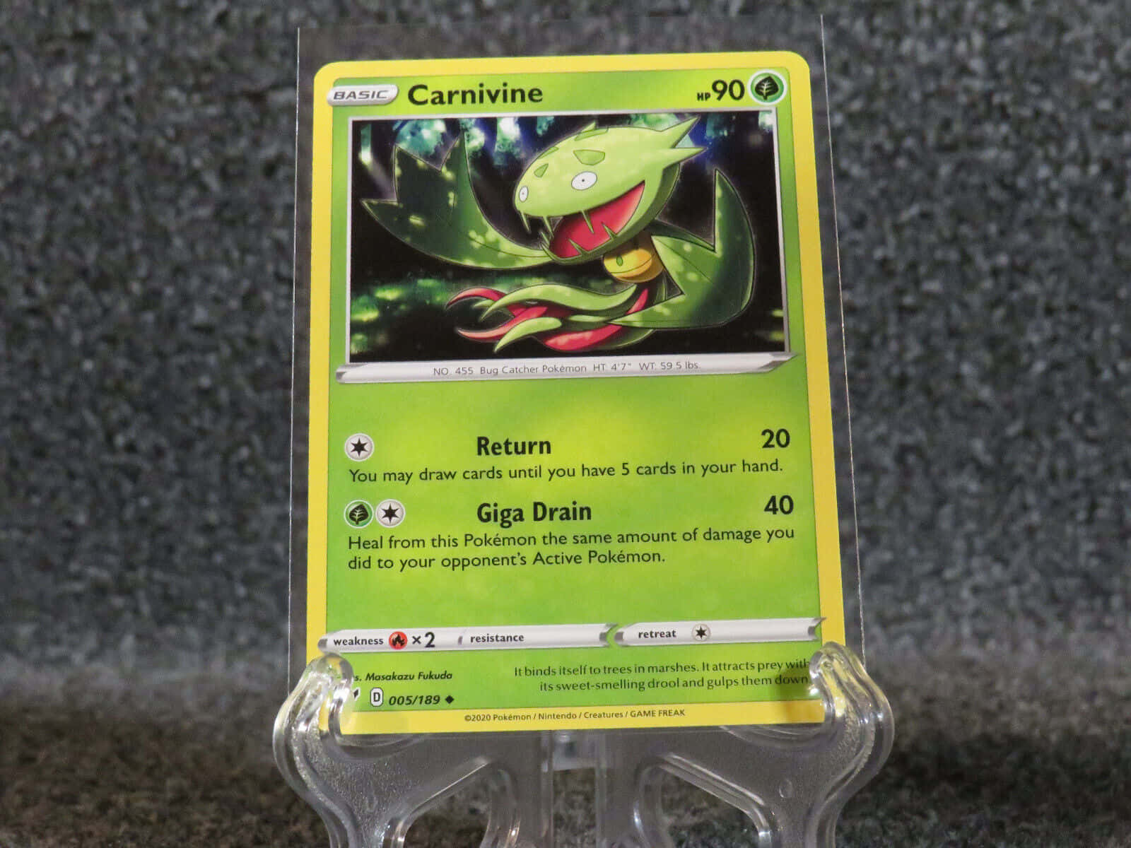 Carnivine 寶可夢卡牌 壁紙 — 一張綠色Carnivine寶可夢卡牌放在透明支架上，背景為深色帶斑點。