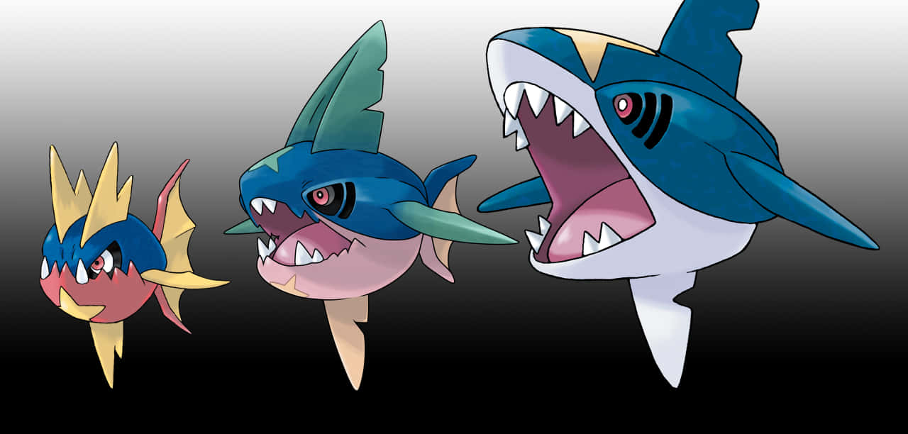 Carvanha、Scaracuda 與 Sharpedo 壁紙 — 三隻兇猛的寶可夢從細小的魚類進化成巨大的鯊魚般生物，背景為漸變色。