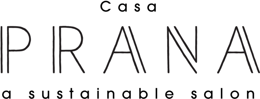 Casa PRANA 可持續美髮廳標誌 壁紙 — 「prana」一詞以灰色幼線空心字體呈現於純黑色背景上。