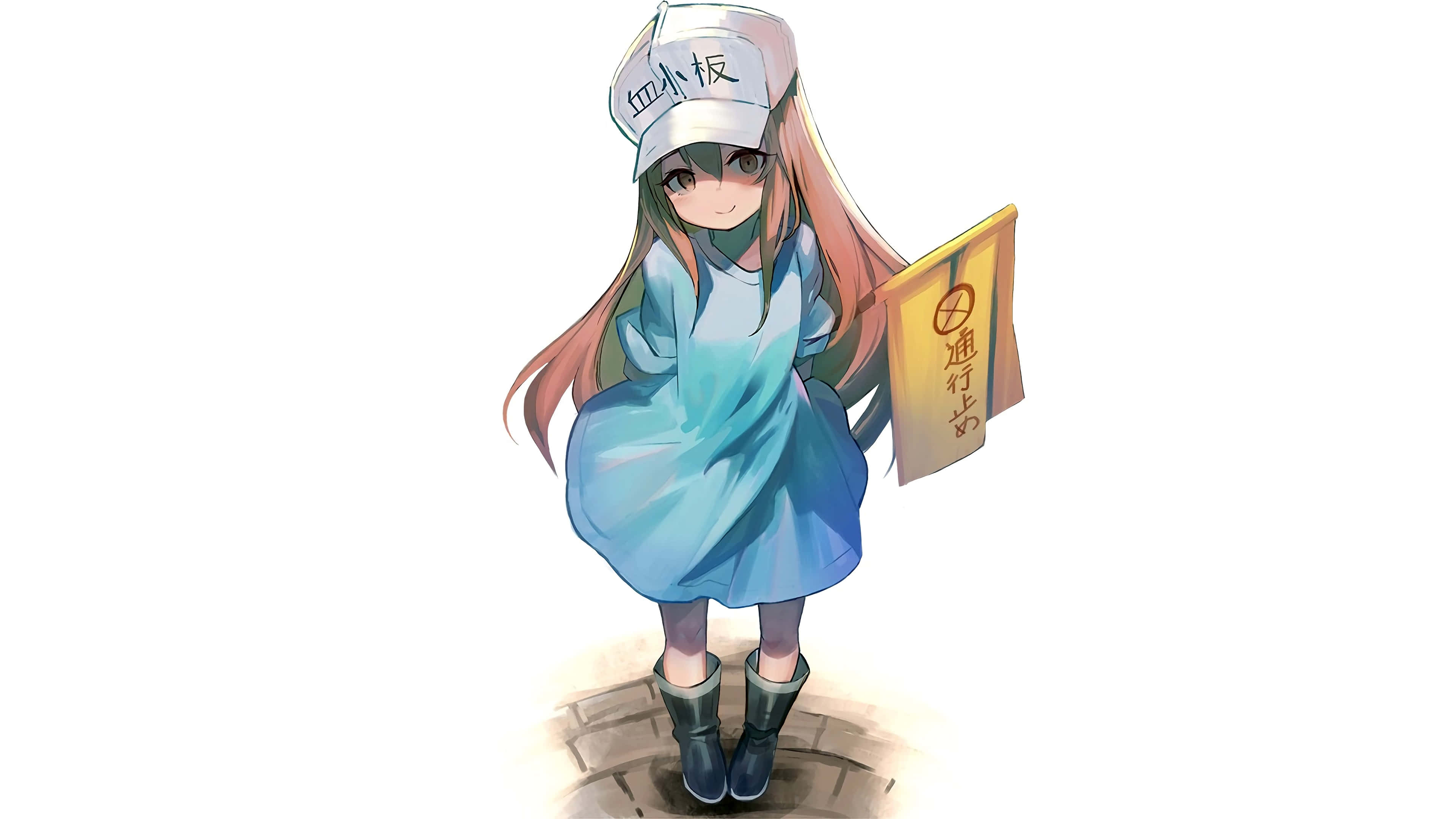 《Cells At Work》細胞世界的複雜與關鍵概覽 壁紙 — 一個穿著藍色連衣裙和帽子的開朗動漫女孩，在純白色背景前舉著一個停止標誌。