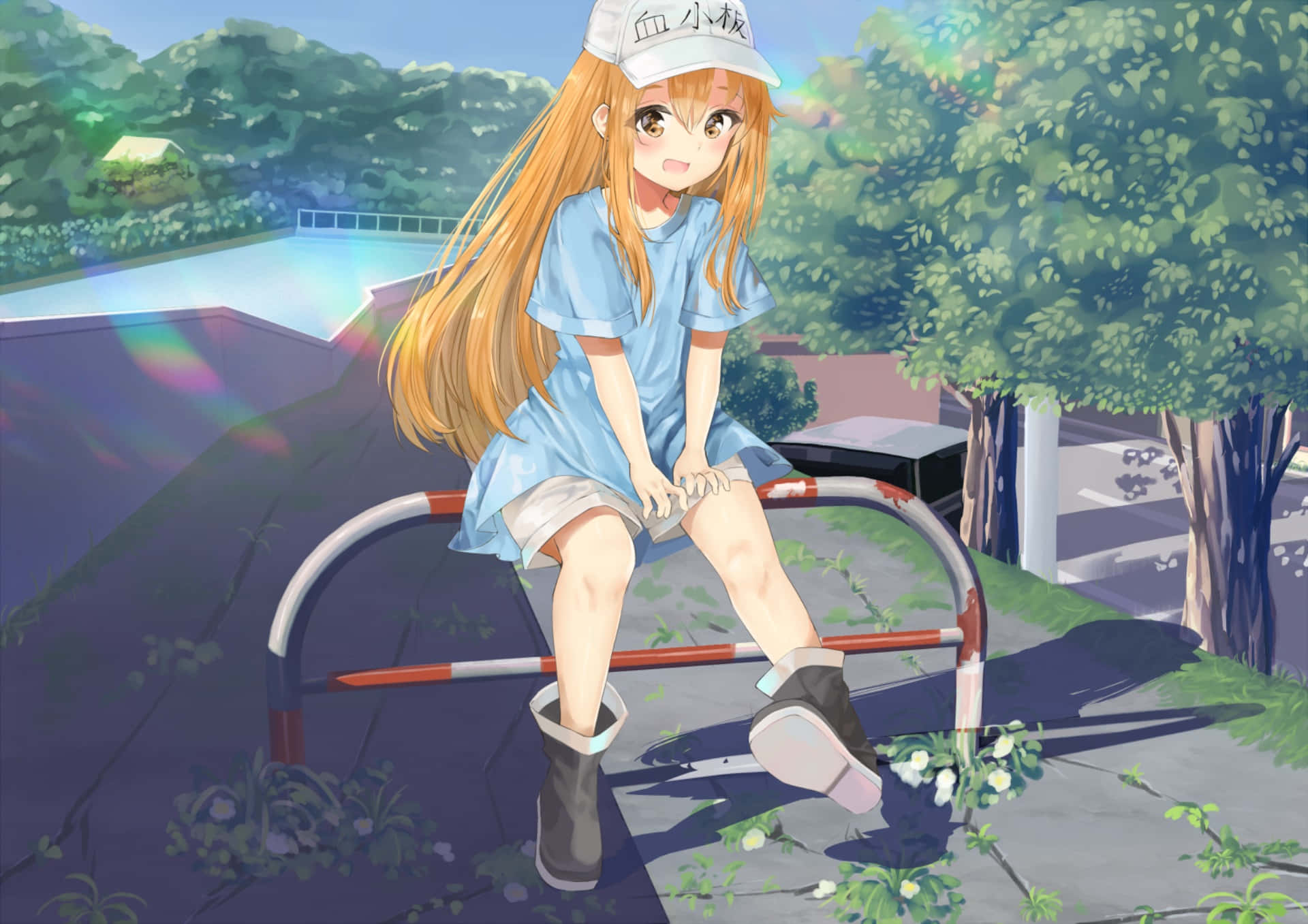 《Cells at Work!》中的細胞正勤奮執行職責 壁紙 — 一個開朗的動漫女孩，長長的橙色頭髮，坐在陽光普照的公園的紅白欄杆上，周圍是茂密的綠色樹木和一個游泳池。