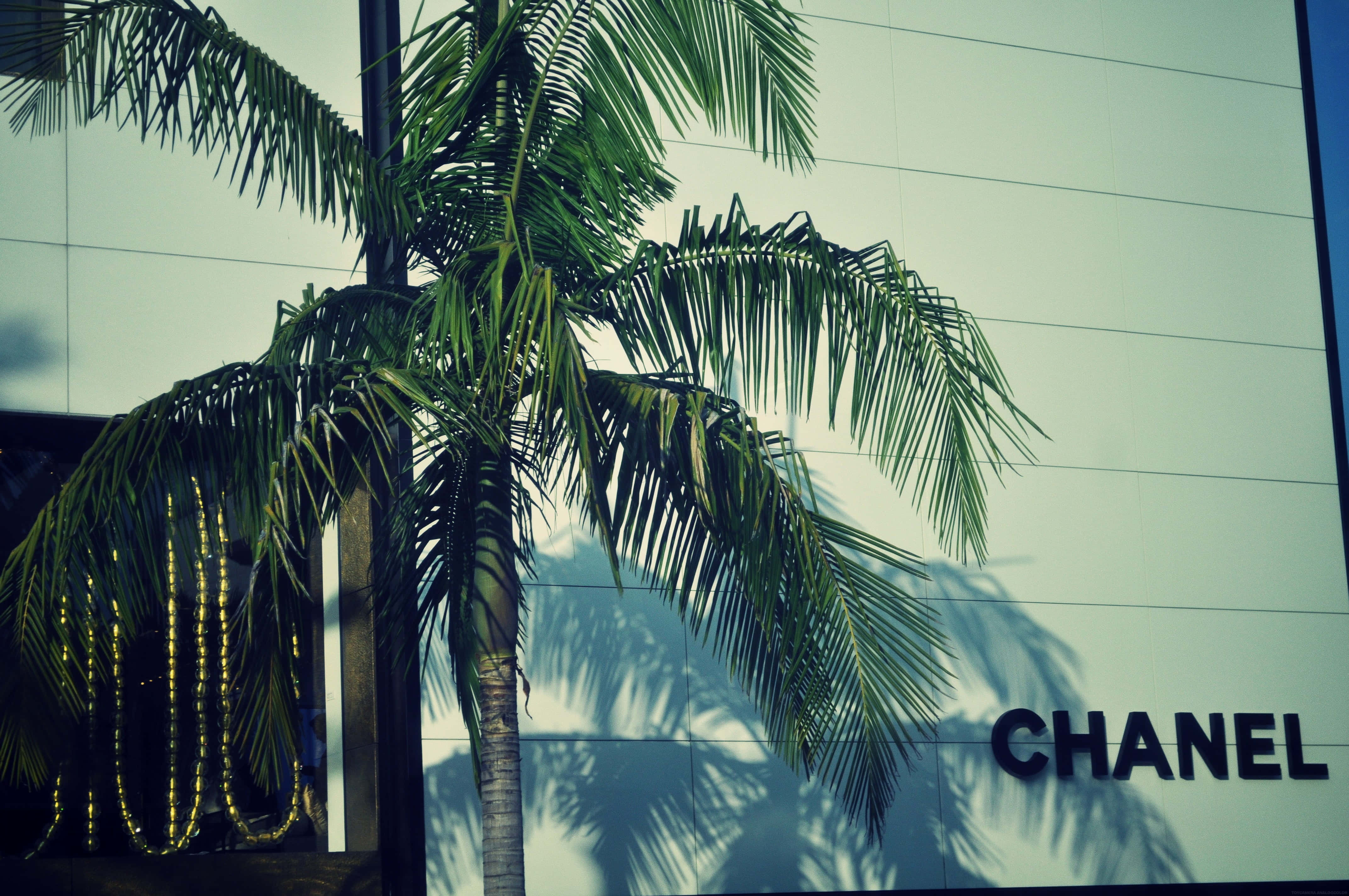 Chanel 背景 壁紙