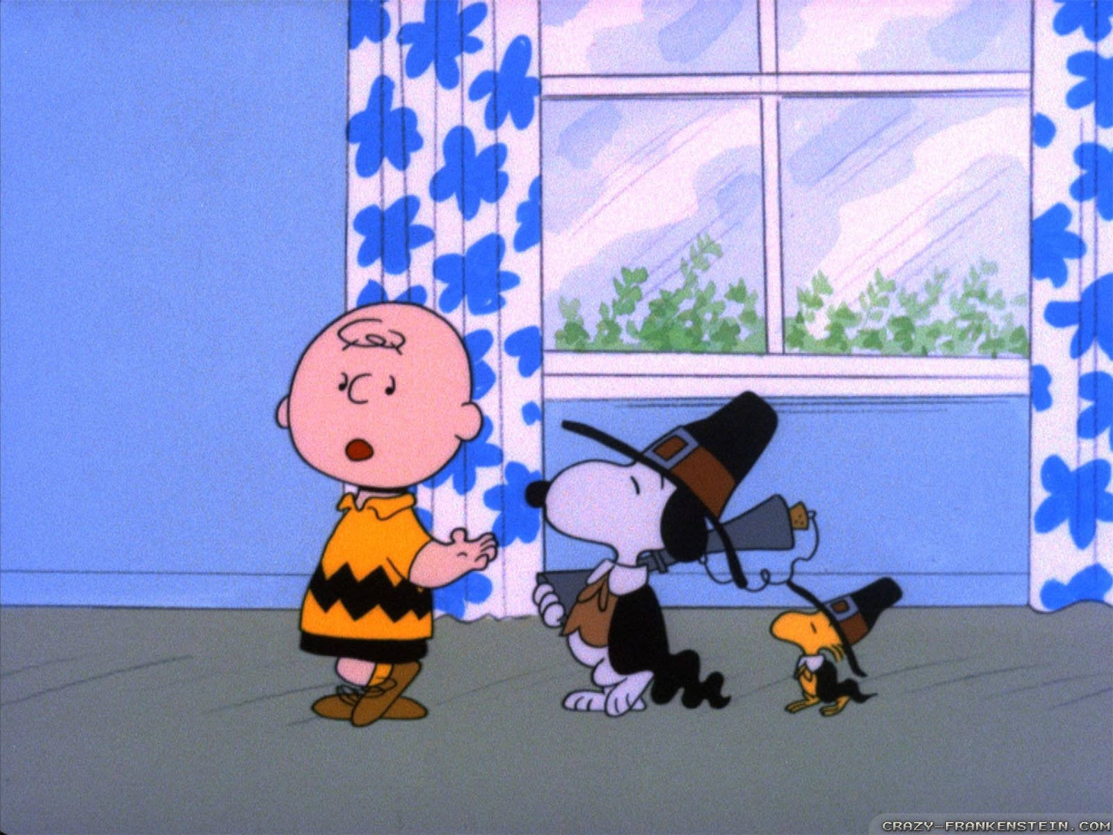 Charlie Brown 和 Snoopy 打扮成火雞，靠近有藍色花卉窗簾的窗戶。