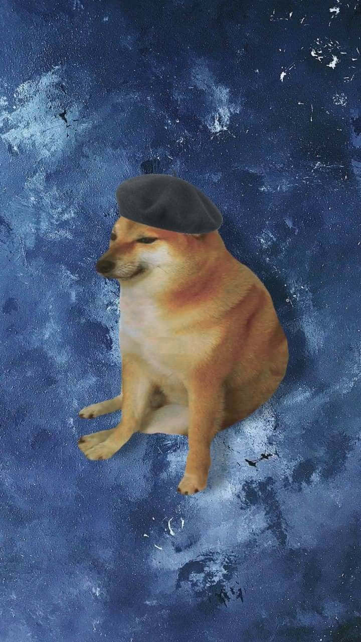 柴犬戴黑色貝雷帽，有紋理的藍色背景