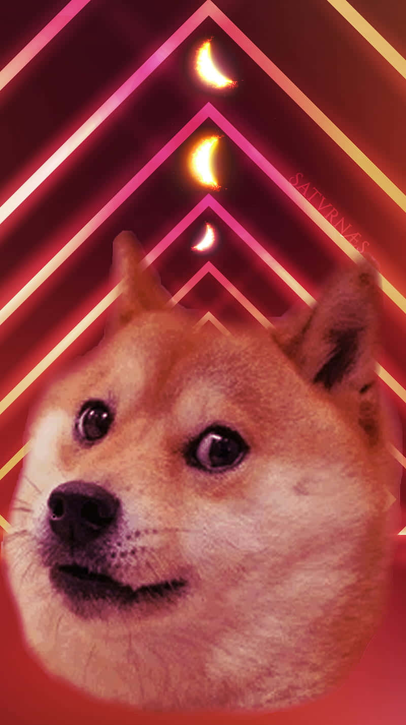 柴犬的臉在帶有發光新月的霓虹隧道中。