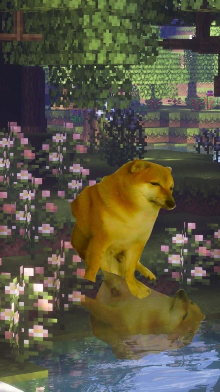柴犬坐在水中，背景為像素化花園。