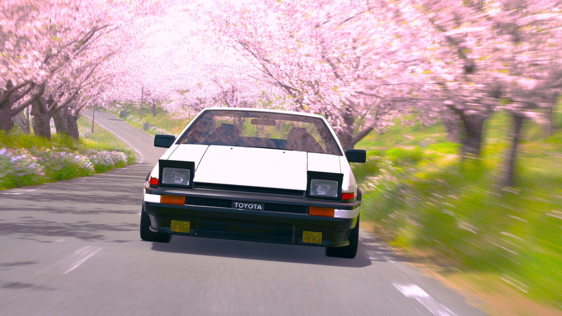 白色豐田AE86在春天櫻花夾道的道路上飛馳