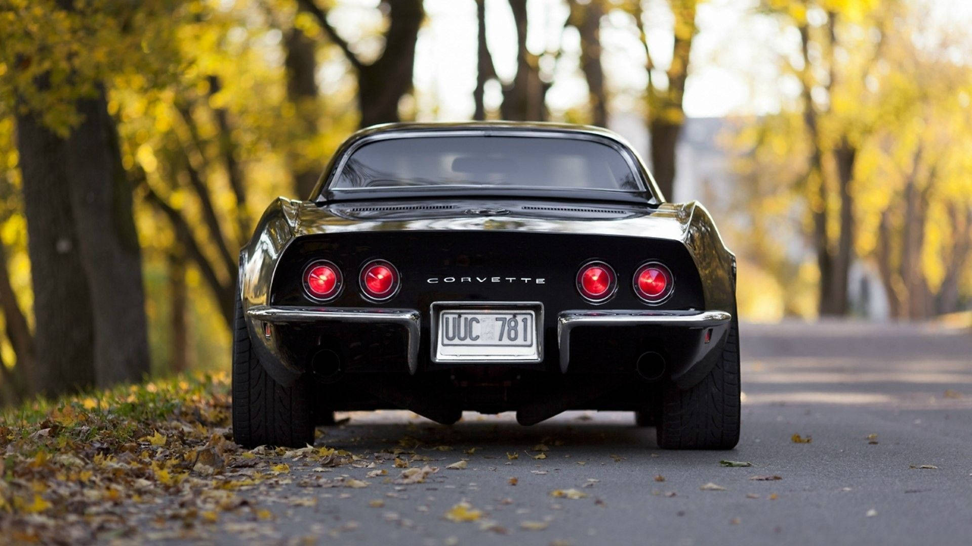 黑色經典Corvette停在秋日路上，金黃樹葉和樹木。