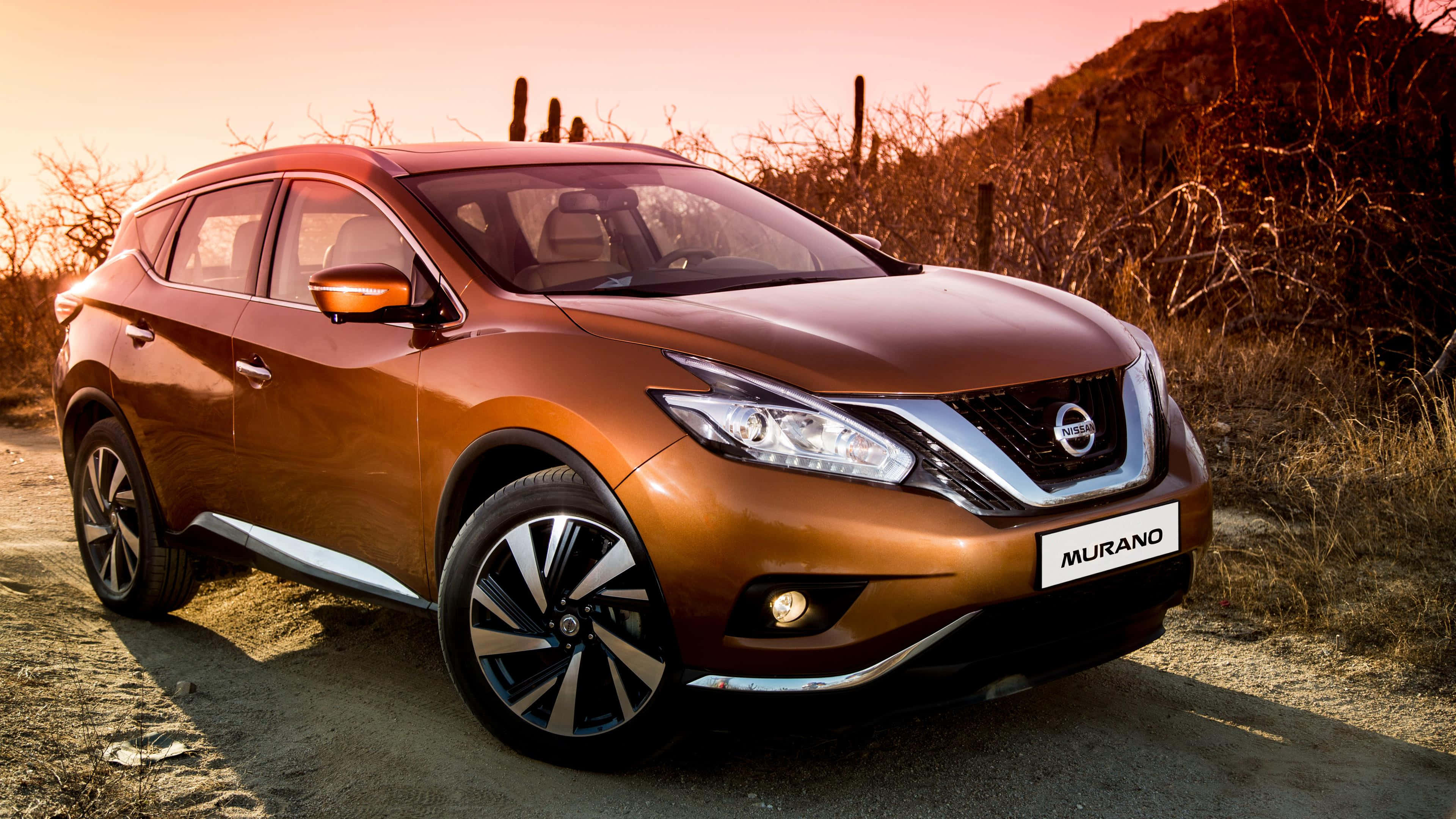Nissan Murano 桌布 壁紙 — 一輛青銅色的日產Murano SUV在溫暖的夕陽光下閃閃發光，停在塵土飛揚的沙漠道路上，背景有仙人掌和乾燥的灌木叢。