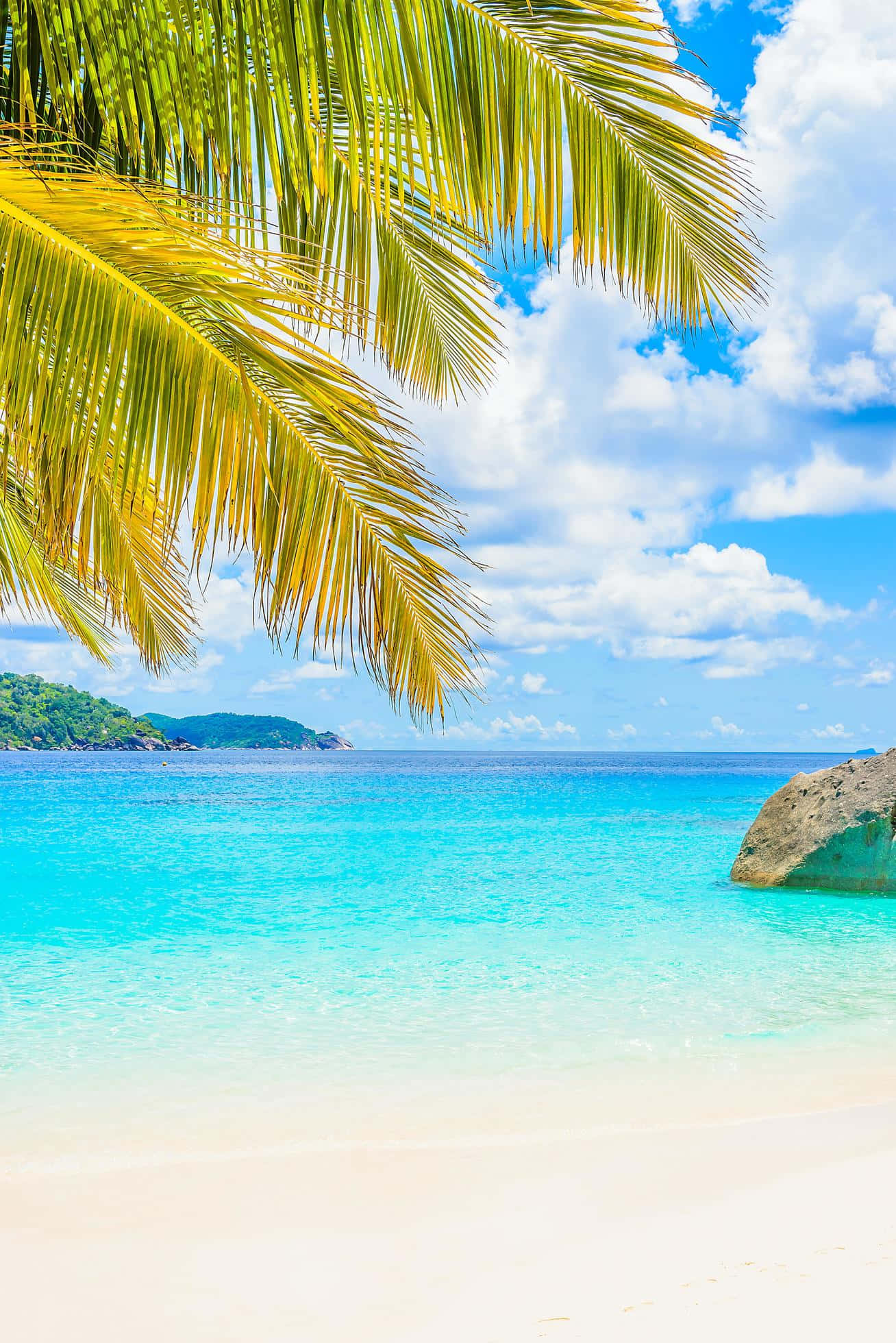 Beautiful Beach 桌布 壁紙 — 充滿活力的碧綠海水拍打著純淨的白色沙灘，沙灘周圍環繞著茂密的綠色棕櫚葉，上方是晴朗的藍天和白雲。