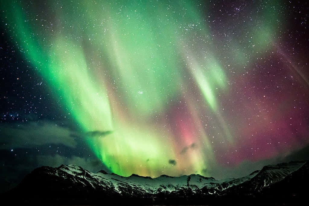  壁紙 — 充滿活力的綠色和粉紅色極光在繁星點點的夜空中，在白雪覆蓋的山峰上舞動。