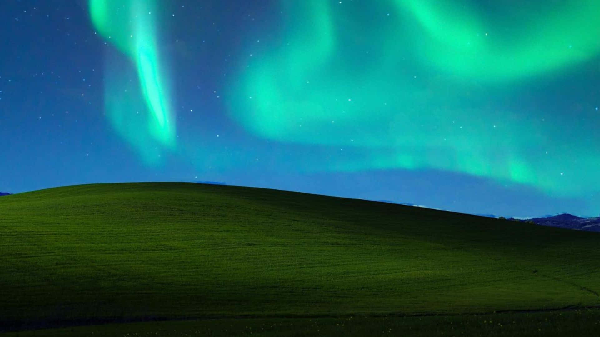  壁紙 — 充滿活力的綠色北極光在繁星點點的夜空下，在寧靜的草地上方舞動。