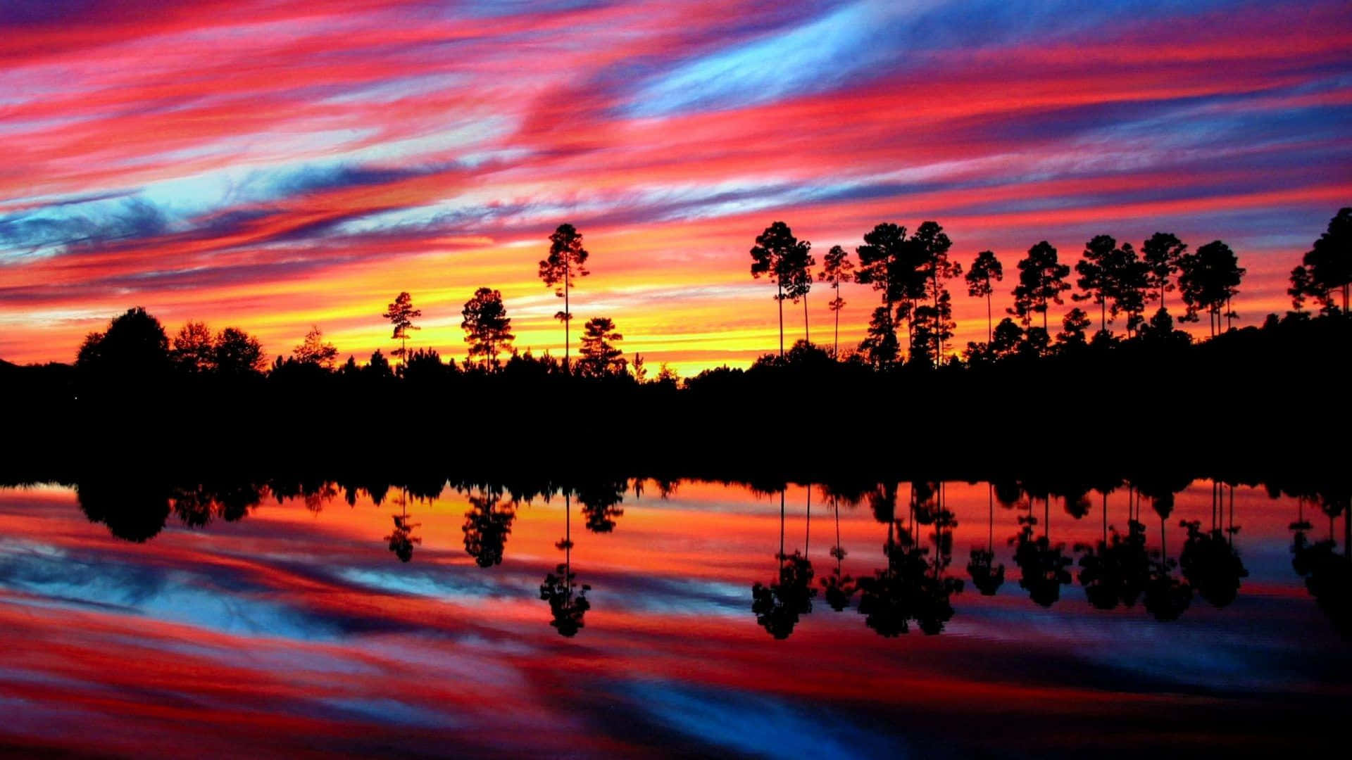 Colorful Sunset 桌布 壁紙 — 充滿活力的日落將天空和水面染成火紅、橙色和深藍色，樹木的剪影完美地倒映其中。