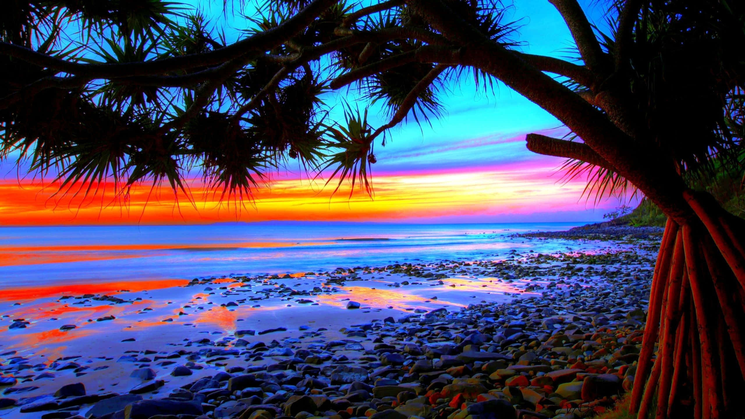 Colorful Sunset 桌布 壁紙 — 充滿活力的夕陽將天空染成火熱的橙色和深藍色，樹枝的剪影勾勒出岩石海灘的輪廓。