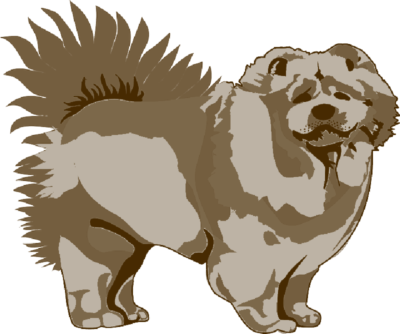 毛茸茸 Chow Chow 狗插畫 壁紙 — 一隻毛茸茸的鬆獅犬側面站立的風格化插圖，尾巴蓬鬆。