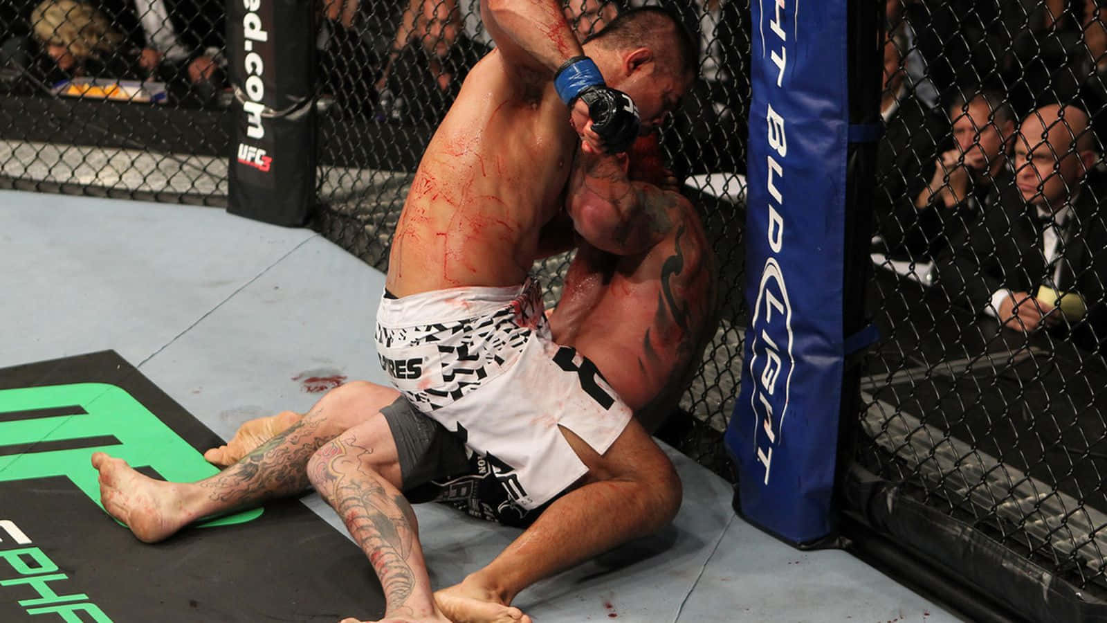 八角籠內兩名拳手進行血腥的MMA比賽。