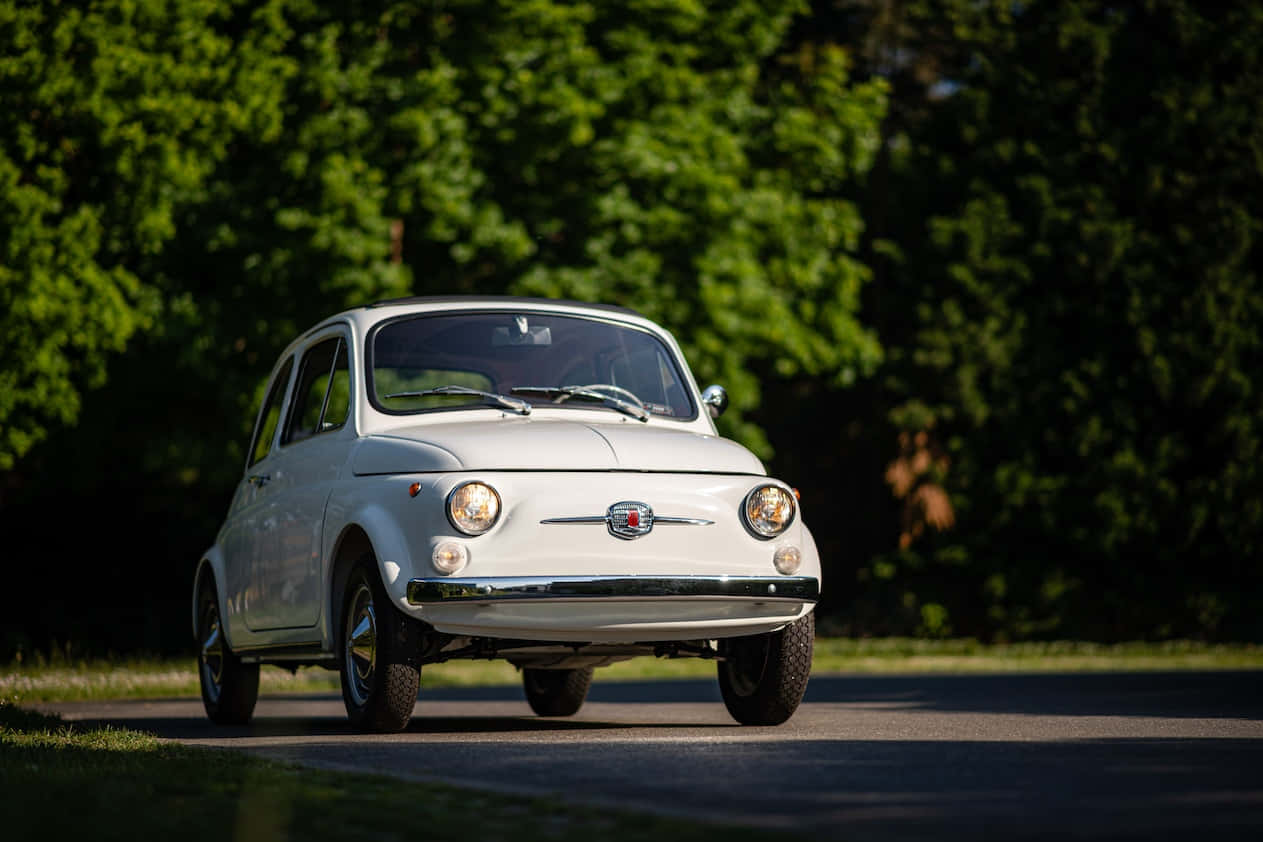 Fiat 500 桌布 壁紙 — 一輛純白色的復古菲亞特500在陽光明媚的鄉村道路上行駛，兩旁綠樹成蔭。