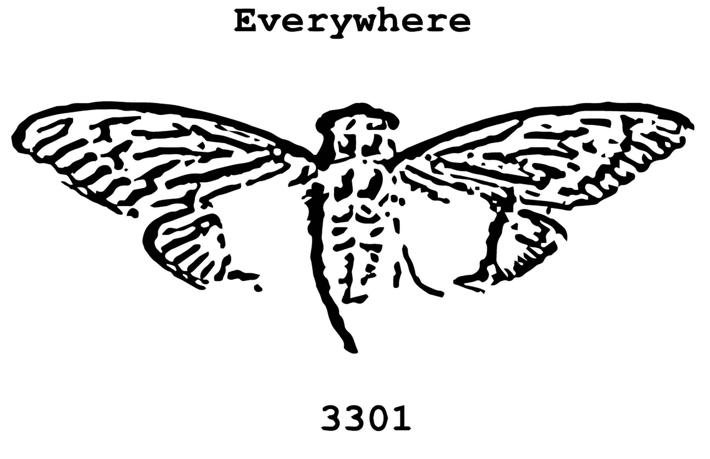 Cicada 3301 簡約輪廓 壁紙 — 一幅鮮明的黑色線條藝術插圖，描繪一隻飛蛾，帶有詳細的翅膀圖案，居中於白色背景上。