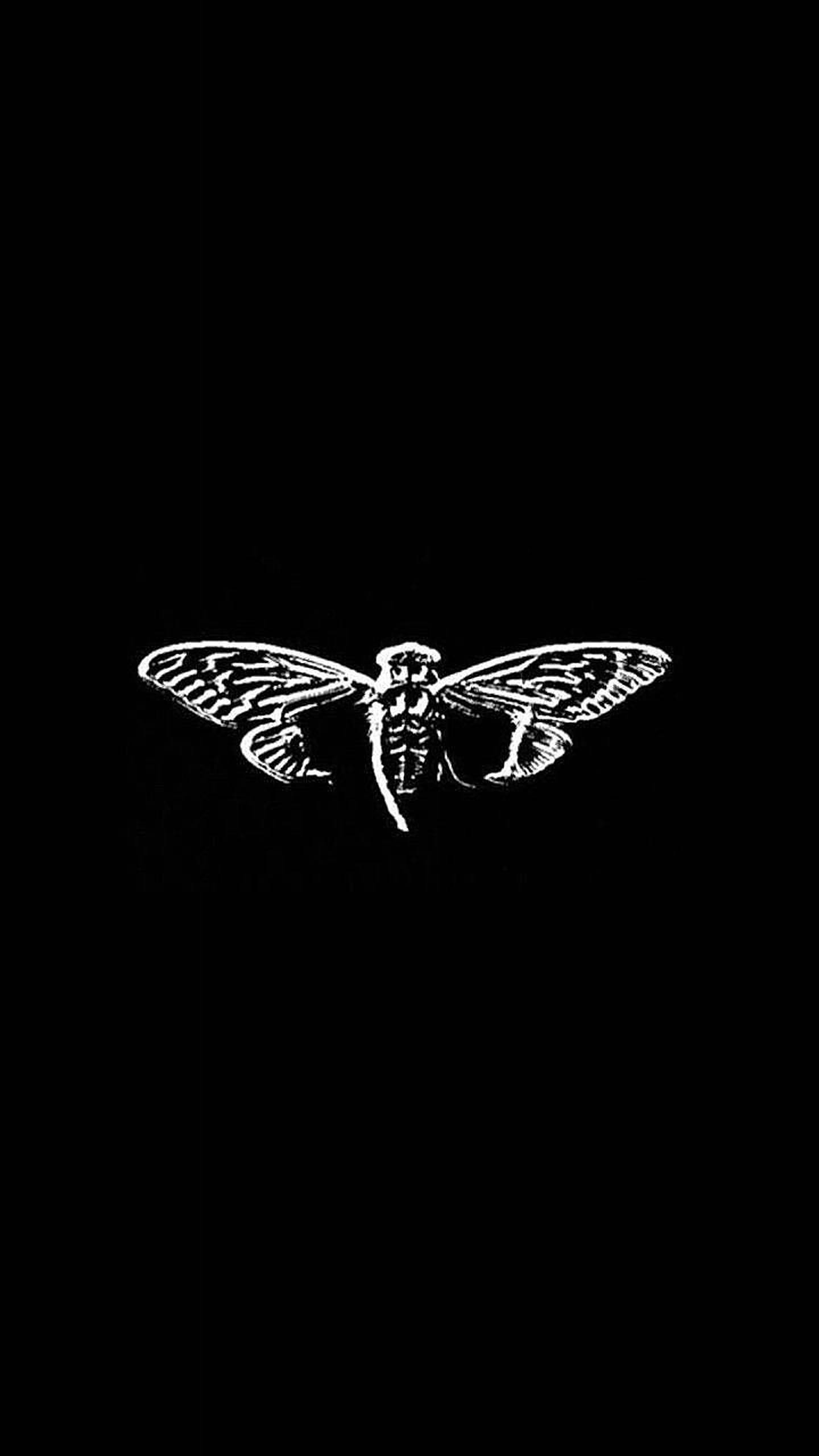 Cicada 最簡藝術 壁紙 — 一個純黑色背景中央，展翅蟬的鮮明白色詳細插圖。