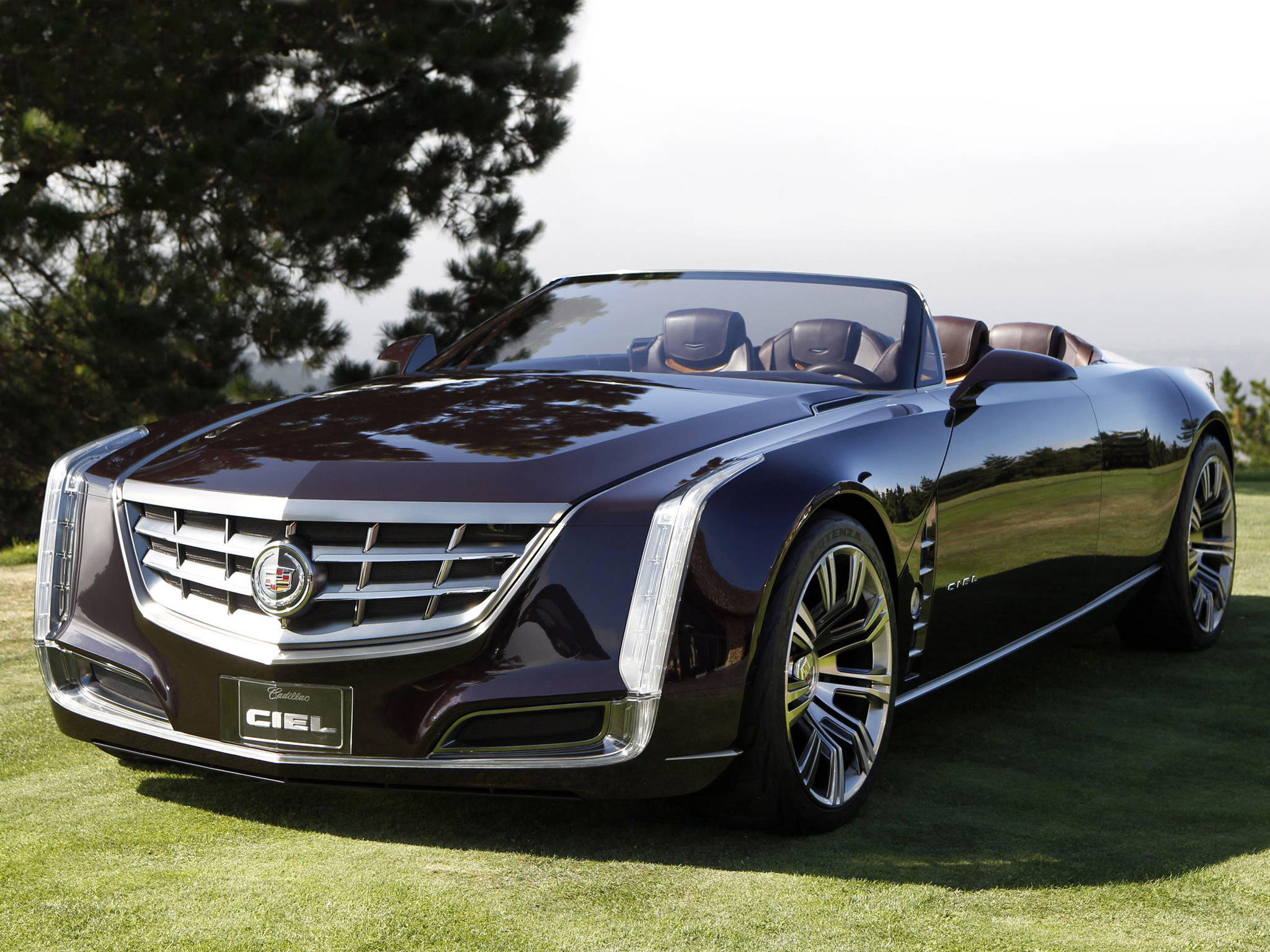 驚艷凱迪拉克 Ciel iPhone 版 壁紙 — 一輛時尚的深紫色Cadillac Ciel敞篷車停在茂密的綠色草地上，背景有樹木，在明亮的日光下。