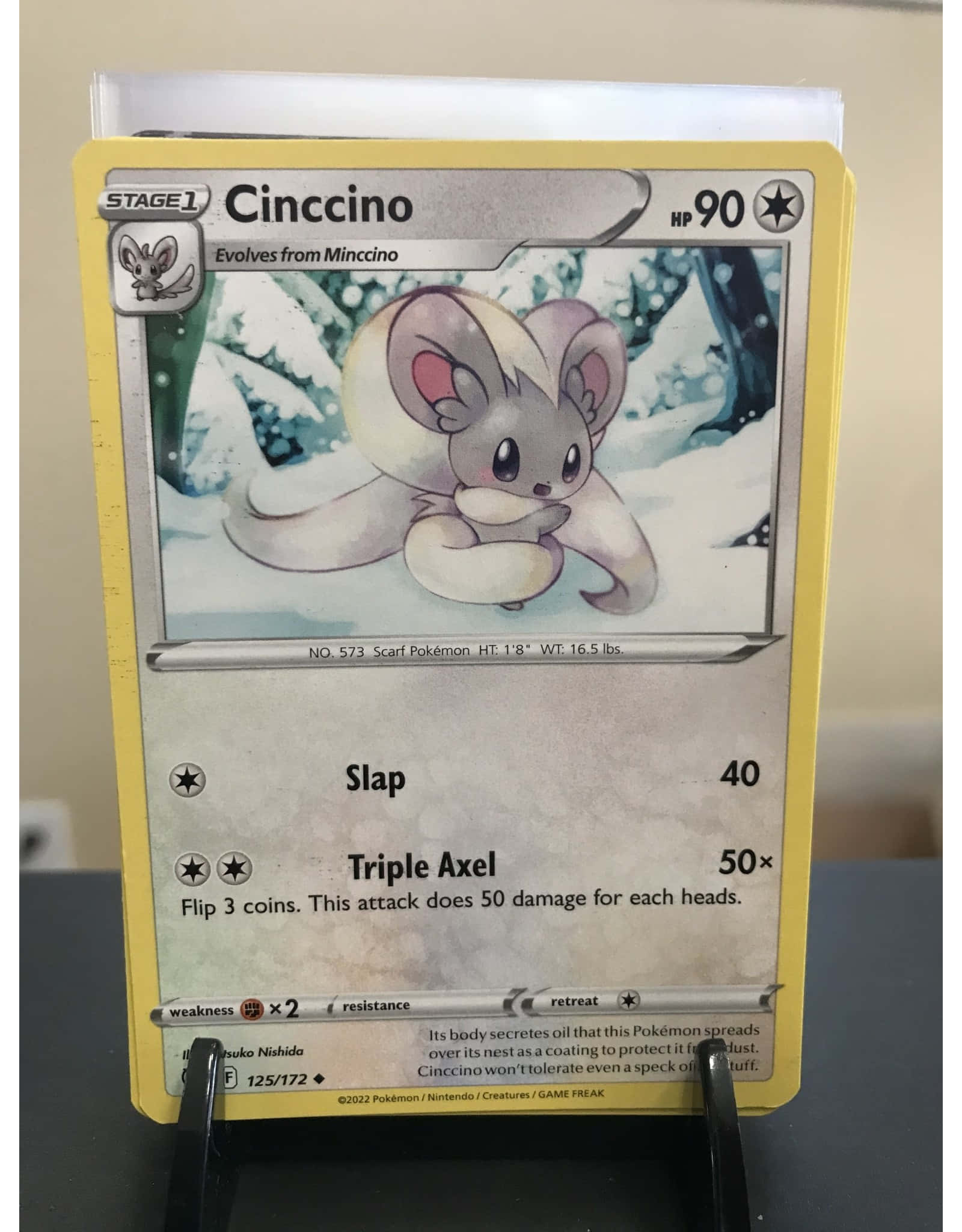 Cinccino 在寶可夢冒險中的迷人風采 壁紙 — 一張黃色邊框的寶可夢卡，展示雪森林中的奇諾奇諾，直立於黑色展示架上。