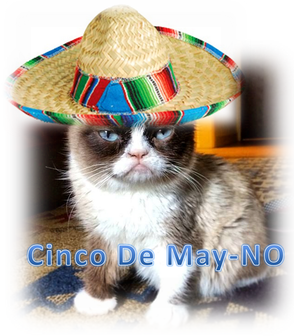鬱悶貓 Cinco De Mayo 帽子迷因 壁紙 — 一隻藍眼睛的脾氣暴躁的貓戴著色彩繽紛的墨西哥闊邊帽，坐在有圖案的地毯上，上面有 'Cinco De May-NO' 文字。