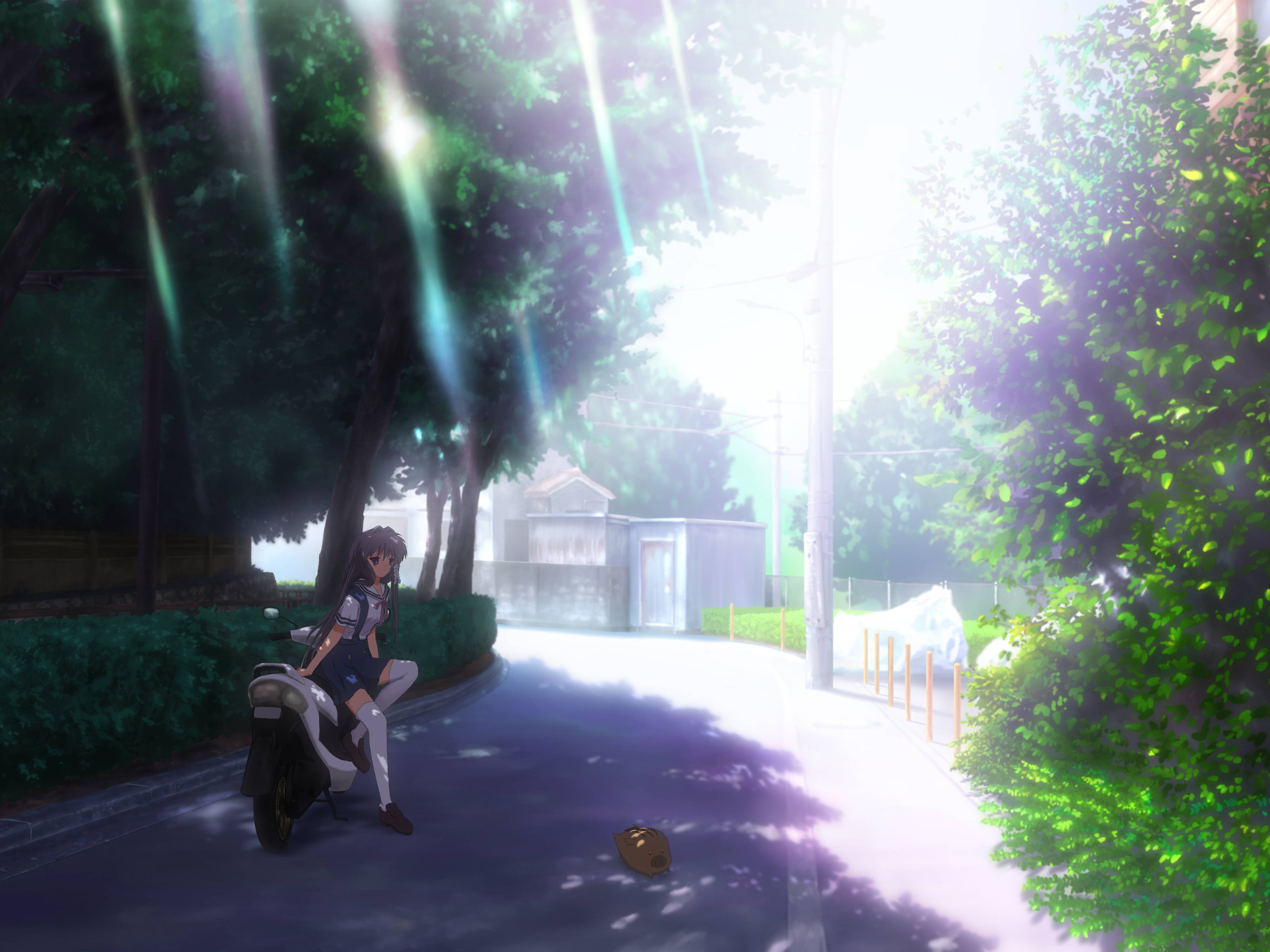 《Clannad》Kyou騎機車 壁紙 — 一個穿著校服的女孩坐在滑板車上，斑駁的陽光透過茂密的綠樹灑在寧靜的郊區街道上。