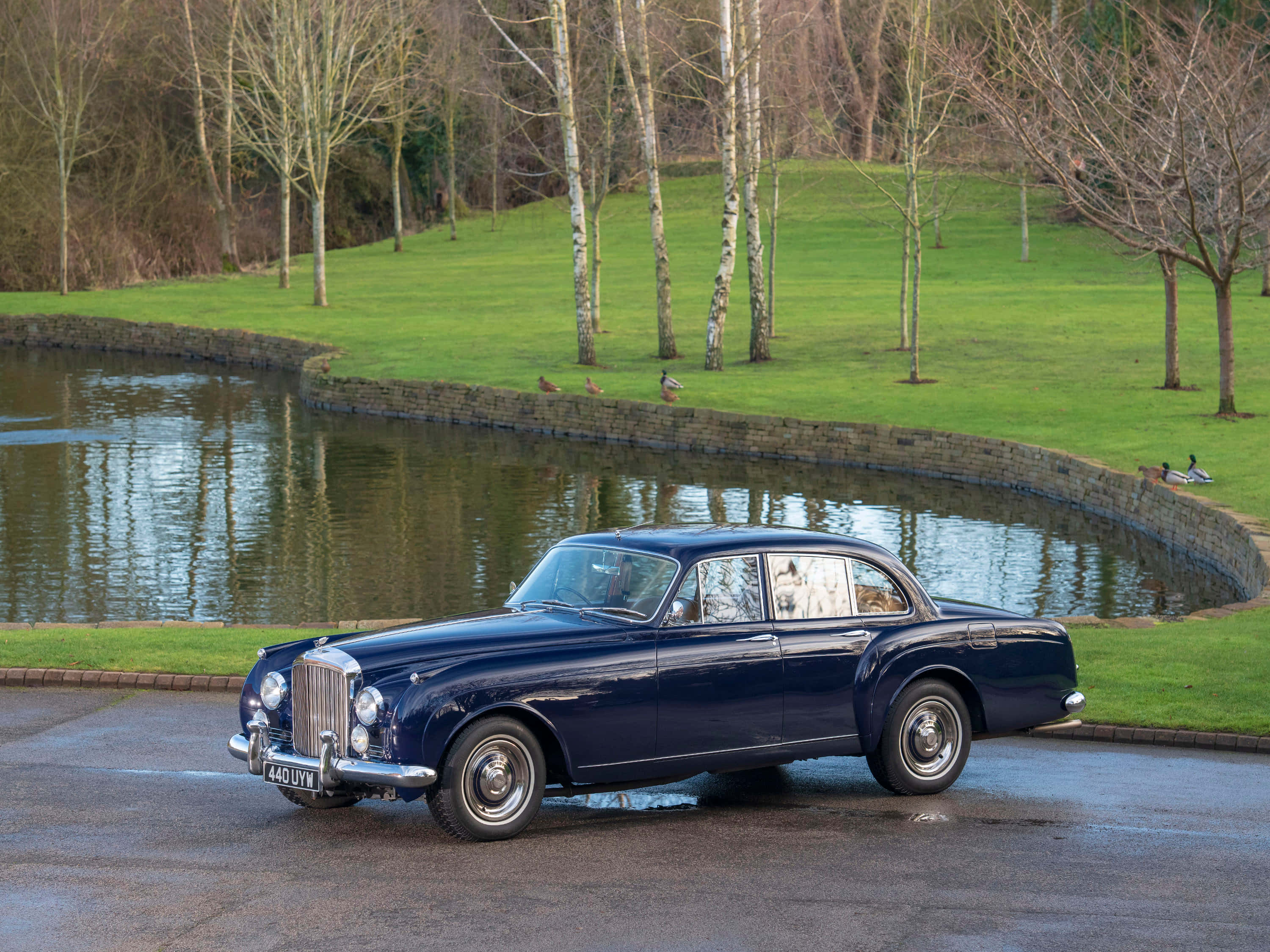 Bentley S2 桌布 壁紙 — 一輛經典藍色賓利房車停泊在彎曲的池塘旁，池塘邊有光禿的樹木和鴨子，環境寧靜的公園。