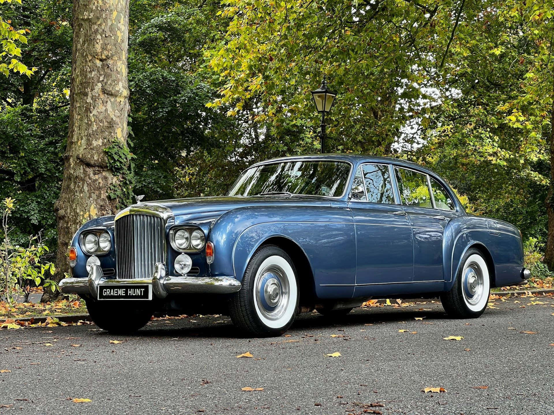 Bentley S3 桌布 壁紙 — 一輛經典藍色賓利轎車在柔和光線下閃耀，停在落葉滿地的車道上，旁邊是一棵高聳的樹木。