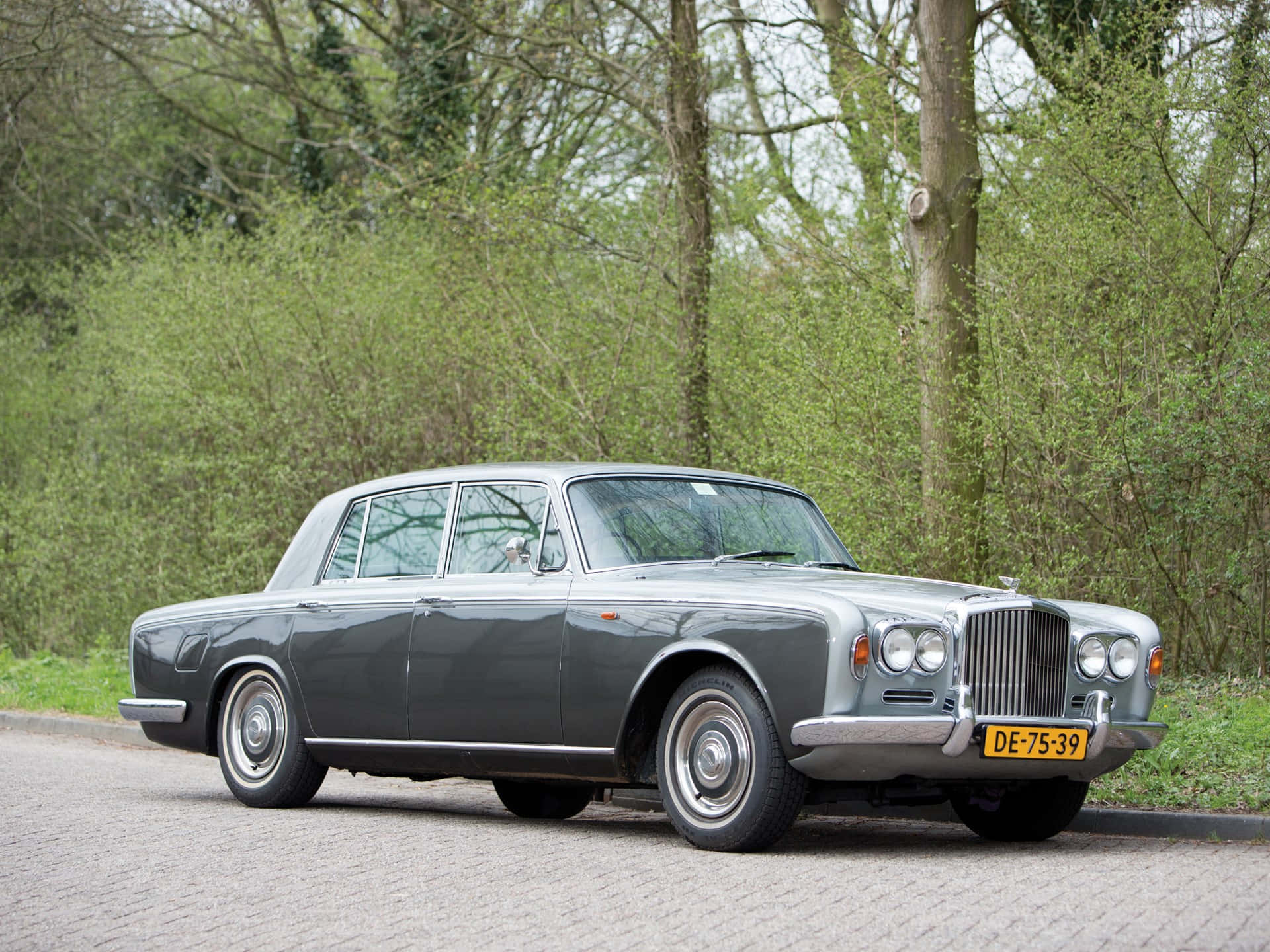 Bentley T1 桌布 壁紙 — 一輛經典銀色賓利S1轎車停泊在春季綠樹成蔭的鵝卵石路上。