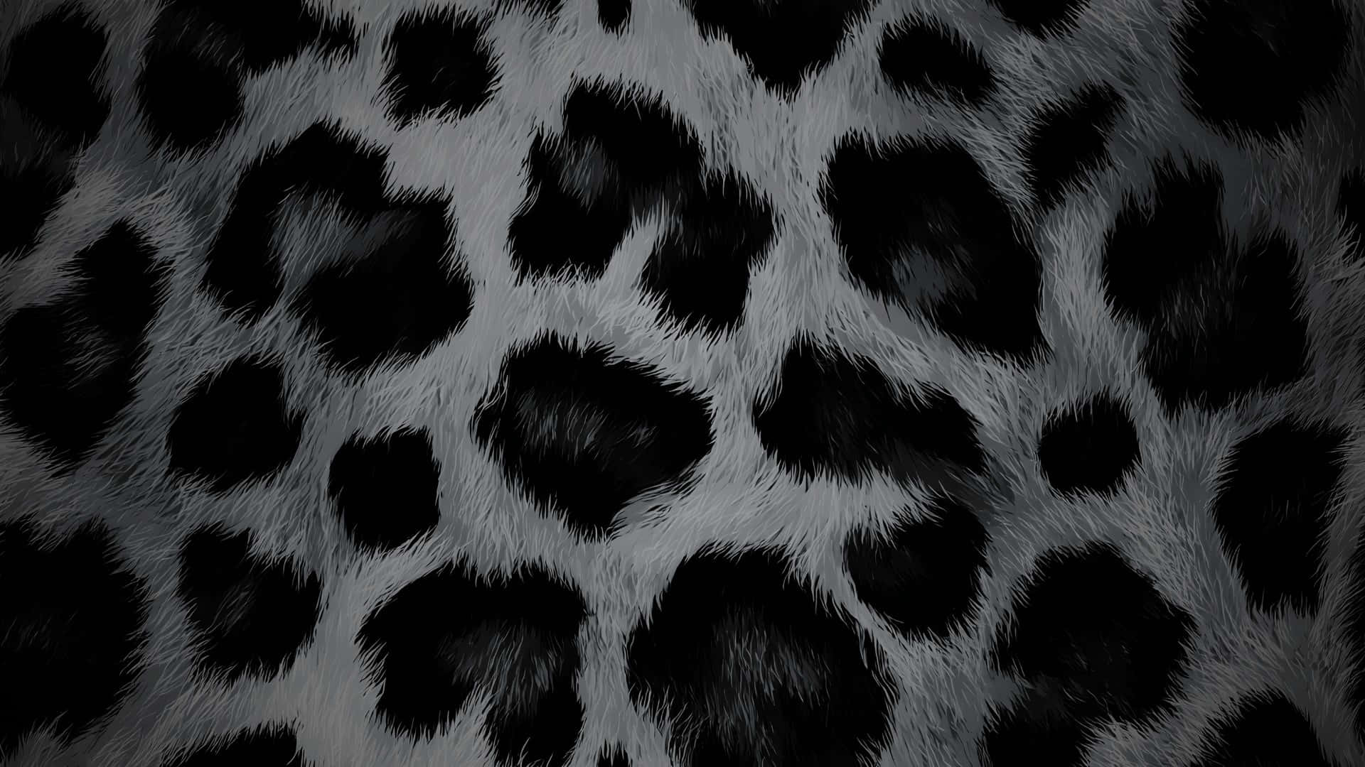  壁紙 — 黑白斑點動物毛皮紋理的近距離特寫，帶有柔軟蓬鬆的纖維。