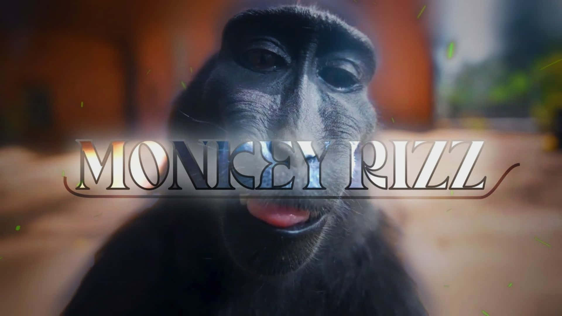 壁紙 — 一隻黑猴頑皮地伸出舌頭的近距離特寫，上面覆蓋著 'MONKEY RIZZ' 文字。