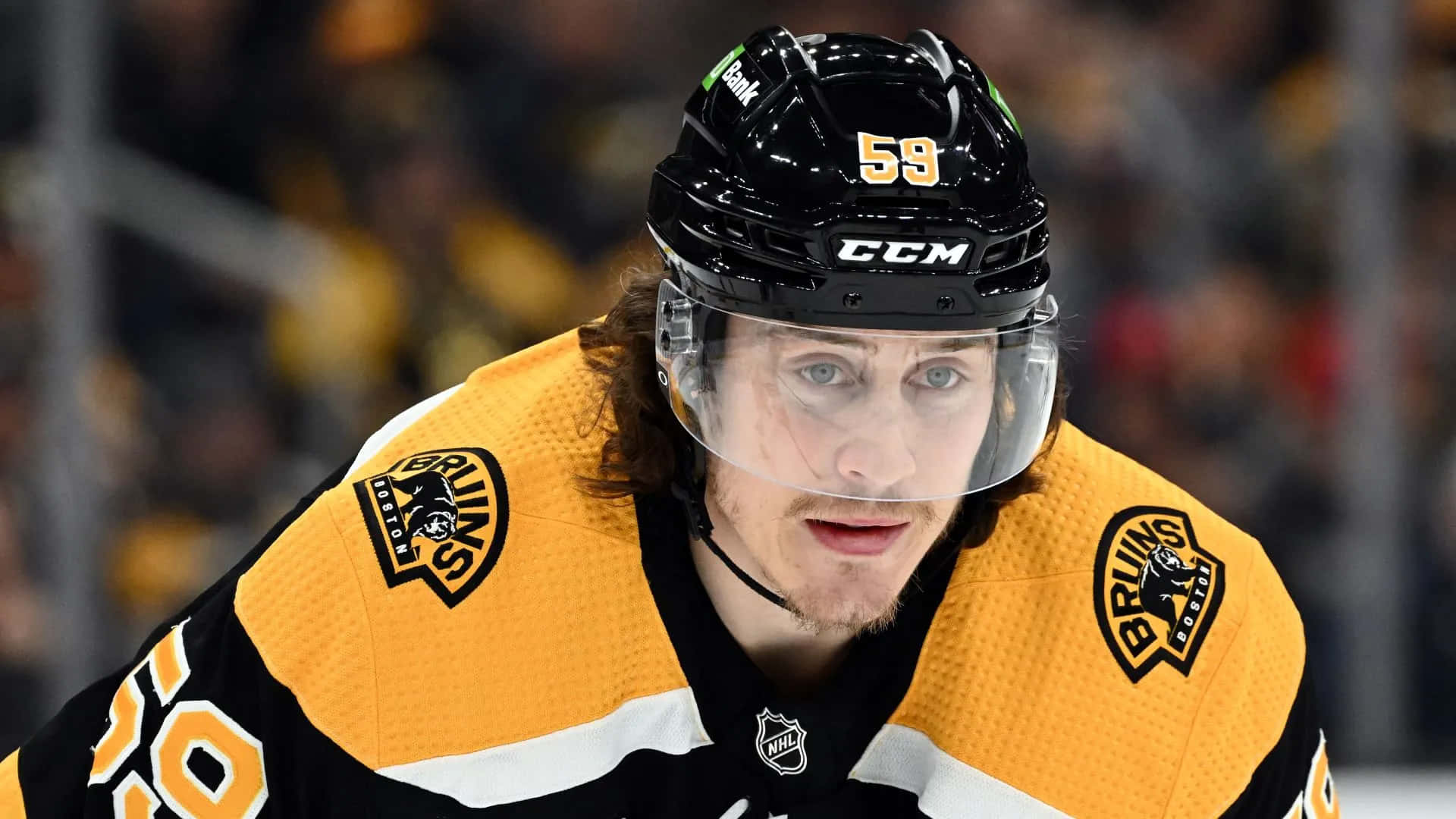 Tyler Bertuzzi 桌布 壁紙 — 波士頓棕熊隊冰球球員近距離特寫，身穿59號頭盔和球衣，比賽中神情專注。