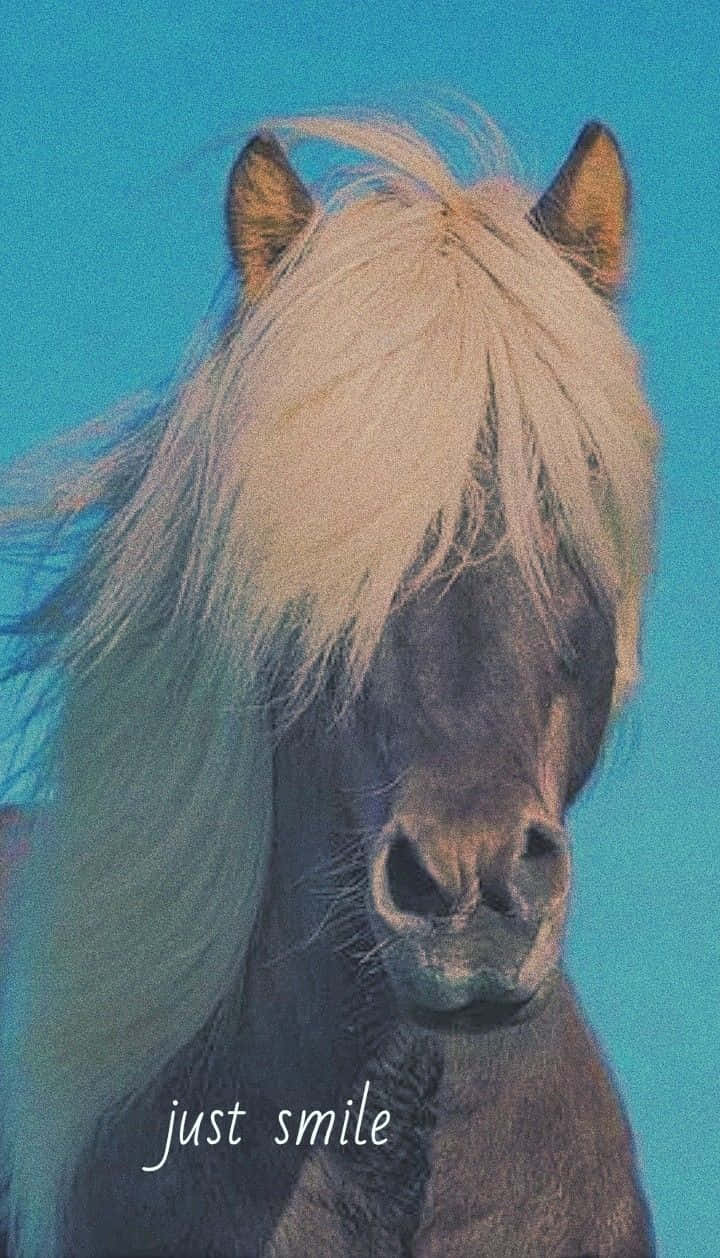  壁紙 — 一匹深色馬匹的特寫，擁有飄逸的白色鬃毛，背景是充滿活力的青綠色天空，以溫柔的表情直視觀眾。