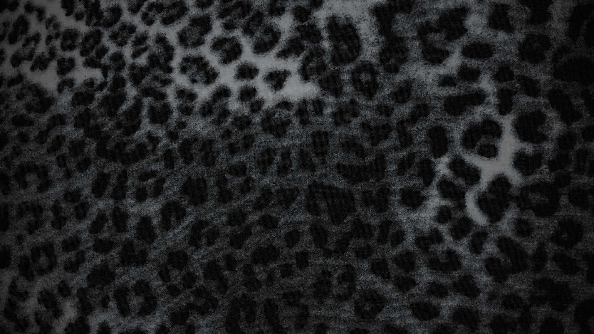  壁紙 — 柔軟灰色布料特寫，帶有醒目黑色豹紋斑點，營造出紋理動物印花圖案。