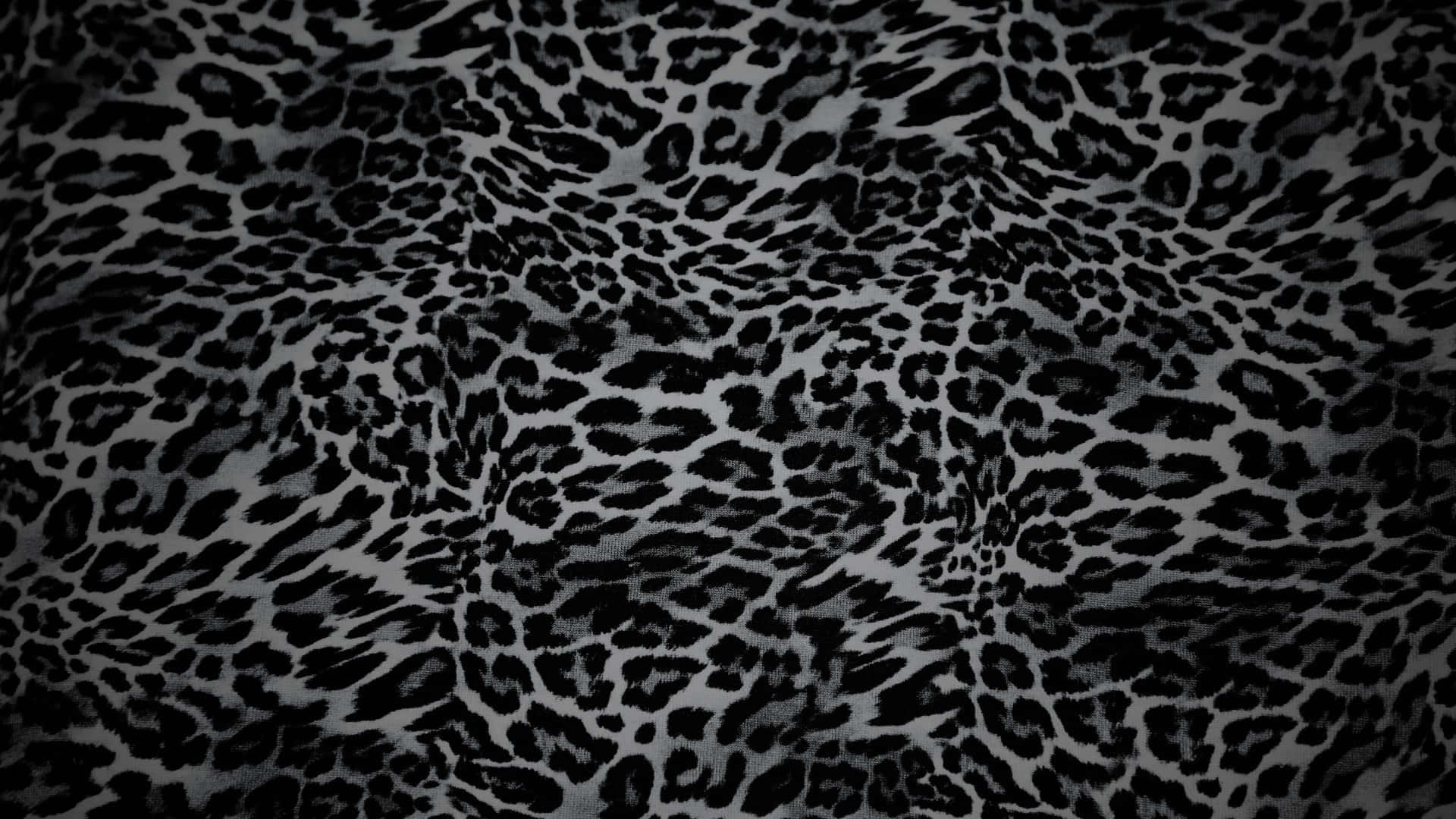  壁紙 — 帶有自然皺褶和柔和光線的紋理黑灰色豹紋布料的特寫。
