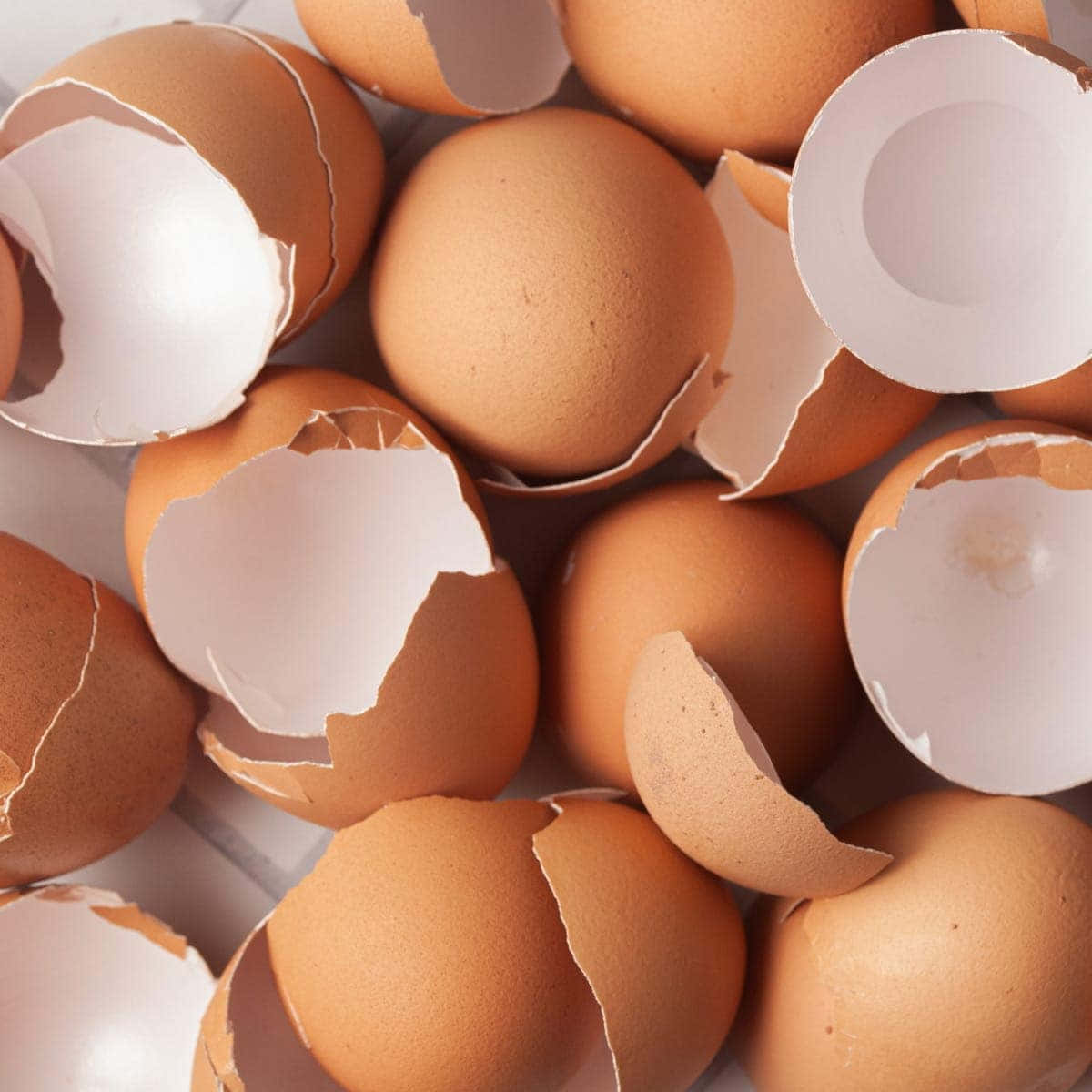 Eggshell 桌布 壁紙 — 棕色蛋殼和破碎的半邊散落成一堆的特寫，光線柔和自然。