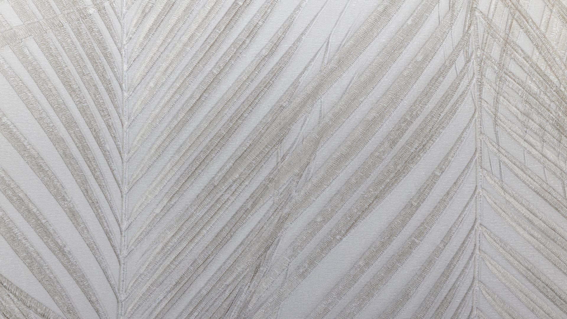  壁紙 — 精緻銀色羽毛圖案特寫，位於帶有細緻線條細節的紋理白色牆紙上。