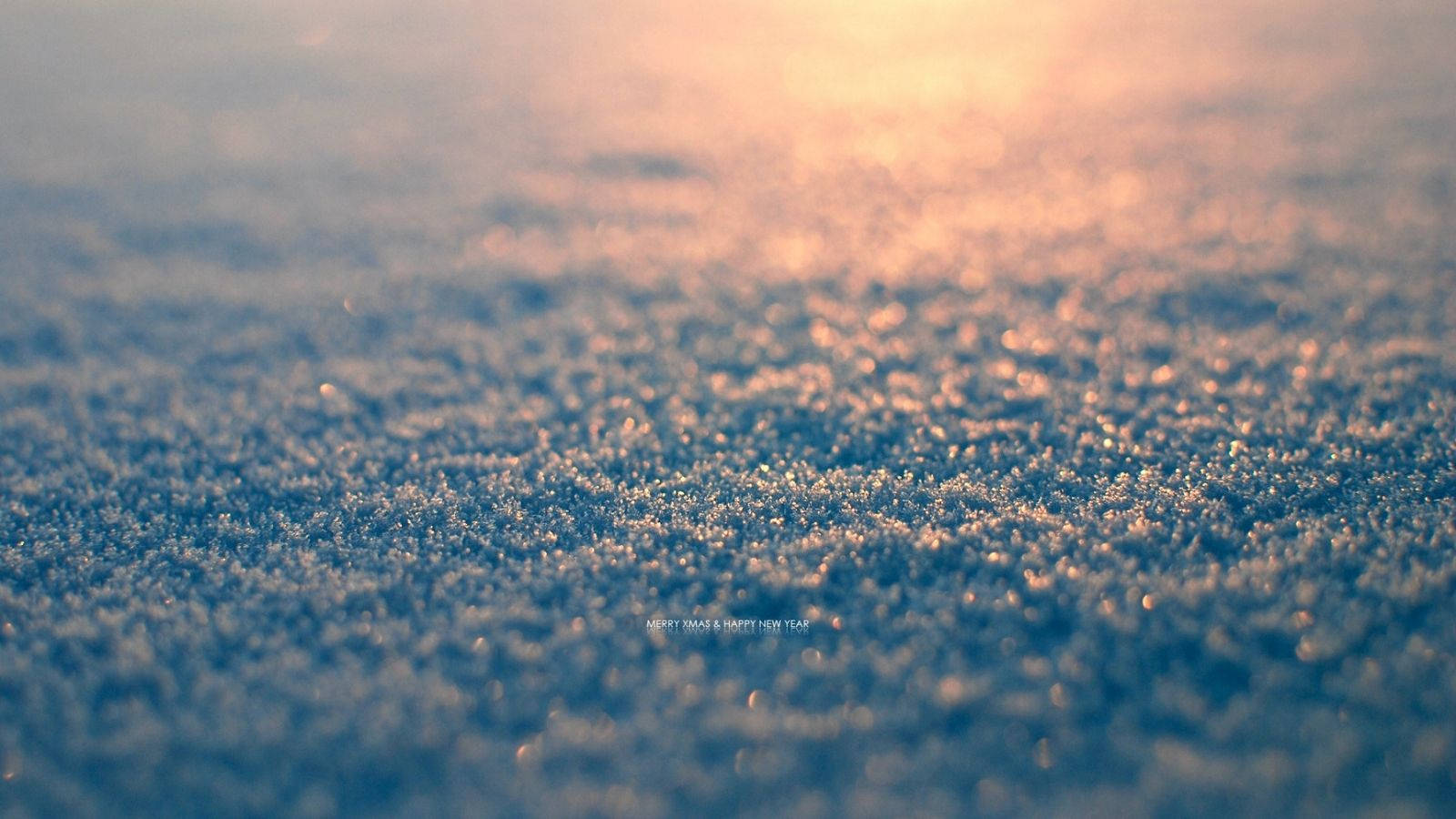 霜晶在金色日出光下在雪地上閃爍。