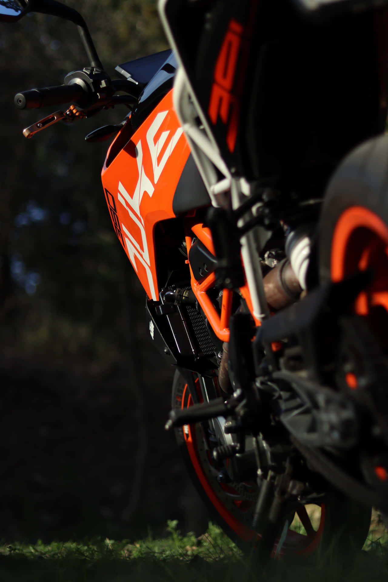 KTM Duke 390低角度攝影 壁紙 — 橙色KTM電單車近距離特寫，停在草地上，背景樹木柔和對焦。