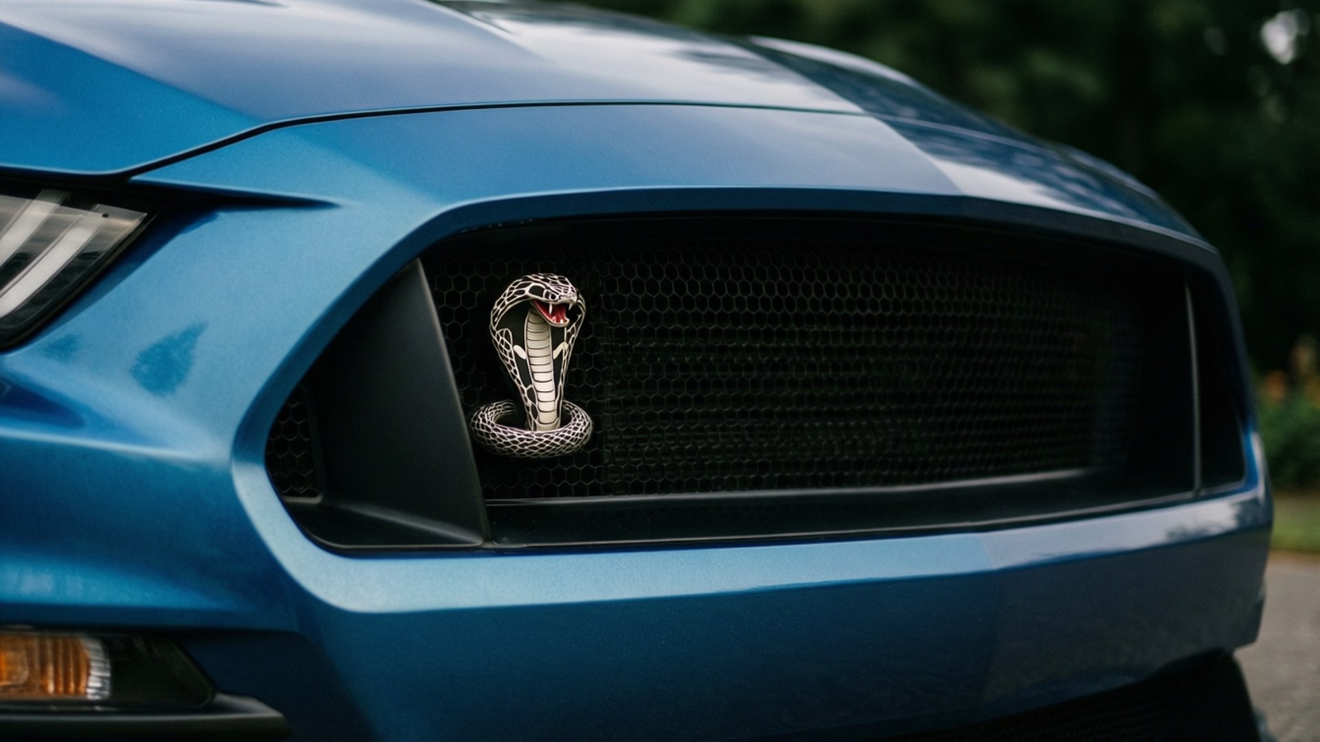 藍色福特野馬 Shelby GT500 前格柵，帶銀色眼鏡蛇標誌