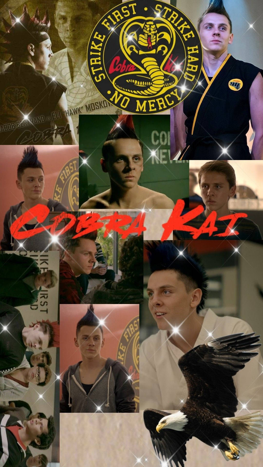 Cobra Kai 角色和標誌，有鷹飛翔，閃爍拼貼畫。