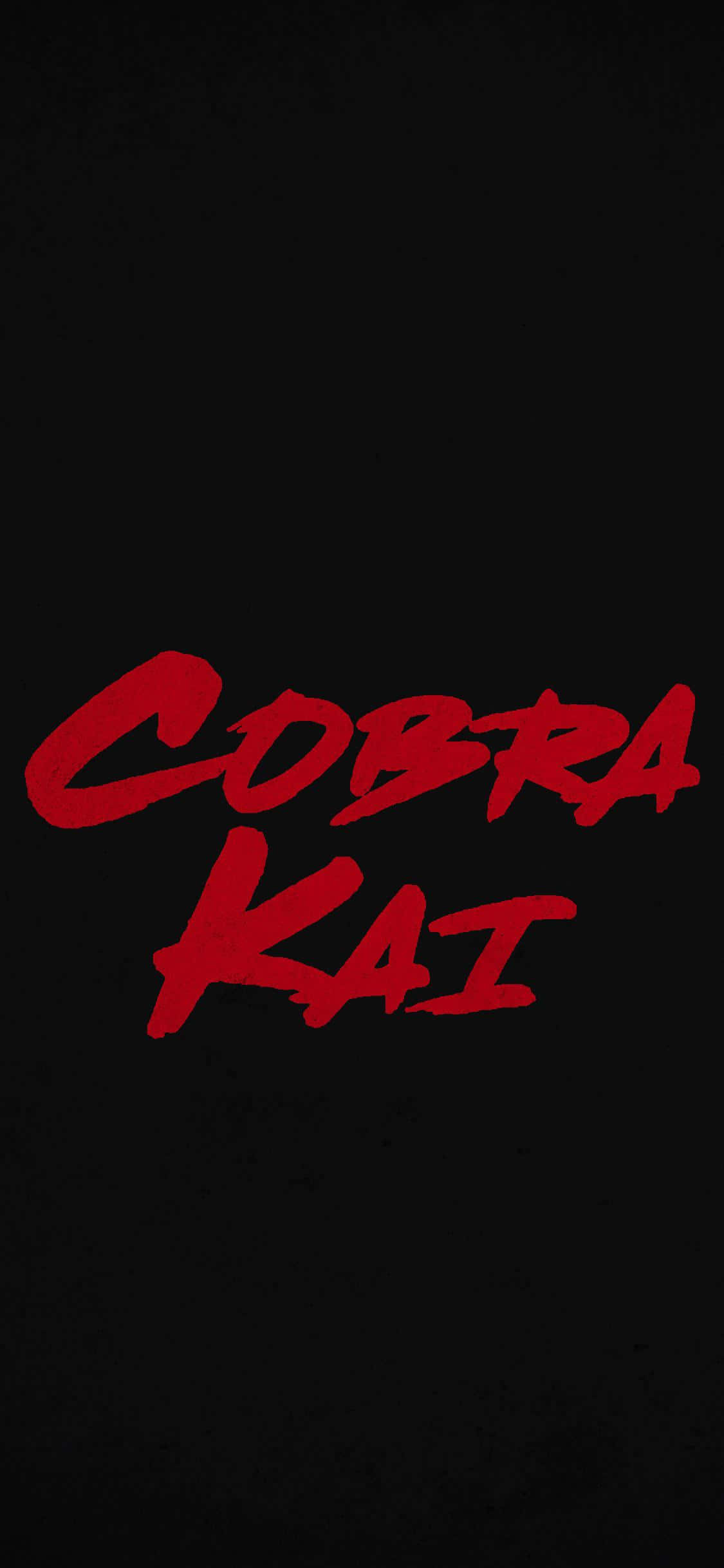 Cobra Kai iPhone XR 標題背景 壁紙 — 大膽的紅色塗鴉風格「Cobra Kai」文字在紋理黑色背景上脫穎而出。