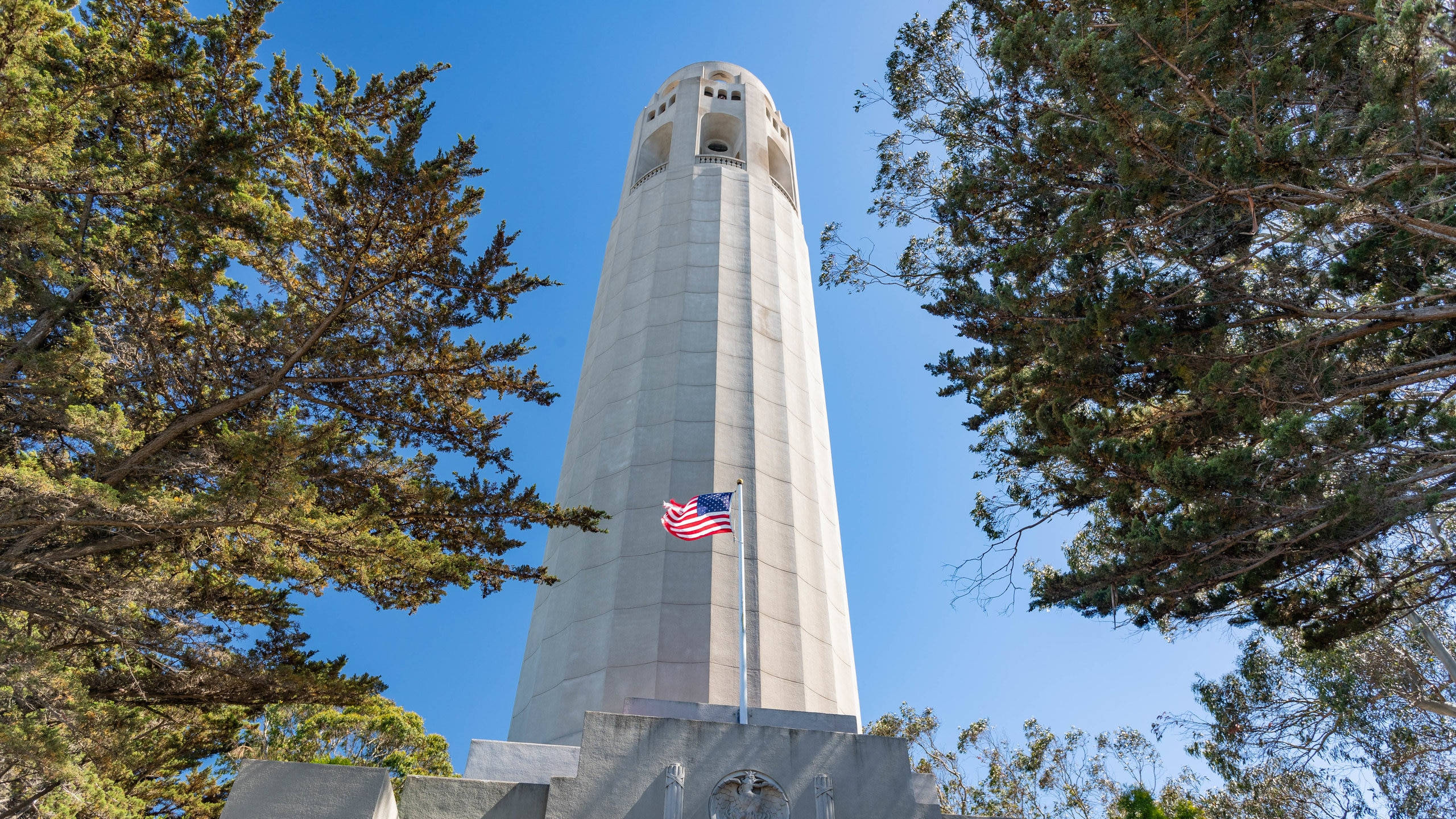 Coit Tower配美國國旗迎風飄揚 壁紙 — 一座高聳的白色塔樓矗立在清澈的藍天下，四周環繞著茂密的綠樹，塔底飄揚著美國國旗。