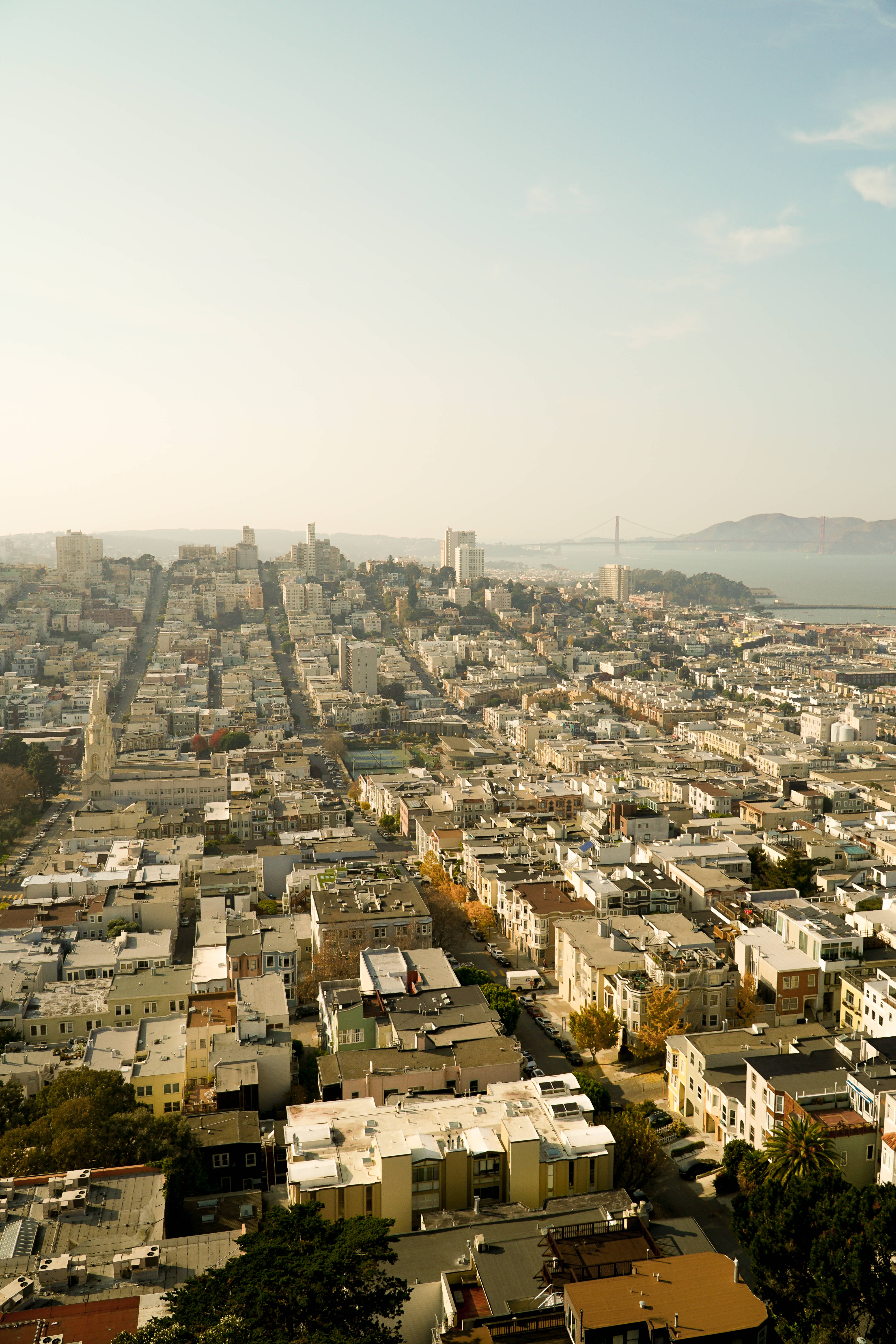 舊金山Coit Tower城市全景 壁紙 — 三藩市密集城市網格的鳥瞰圖，丘陵街道和遠處海灣在柔和金色光線下。