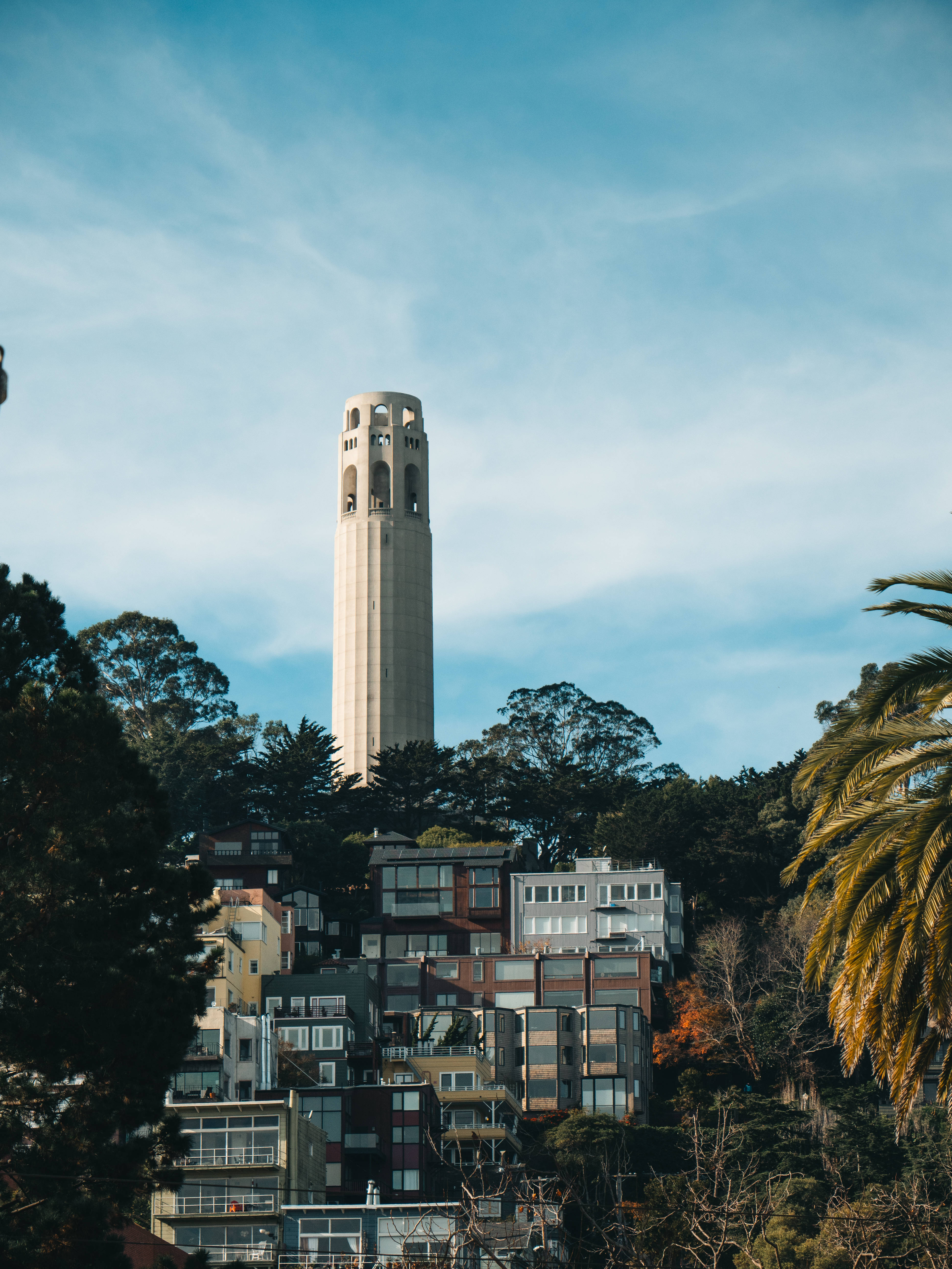 舊金山Coit Tower夏日壯麗景觀 壁紙 — Coit Tower 聳立在色彩繽紛的山坡房屋和茂密樹木之上，天空湛藍，白雲縷縷。