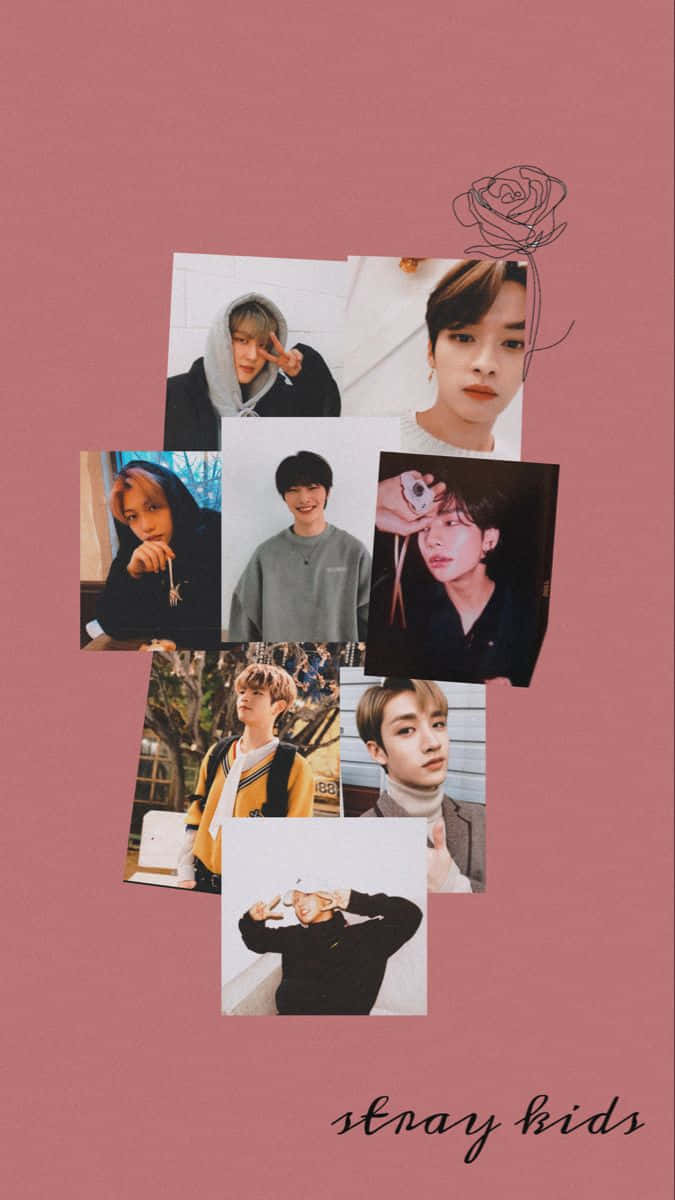 粉紅色背景拼貼，包含 Stray Kids 成員、玫瑰草圖和樂隊名稱。 — Stray kids GIF 壁紙