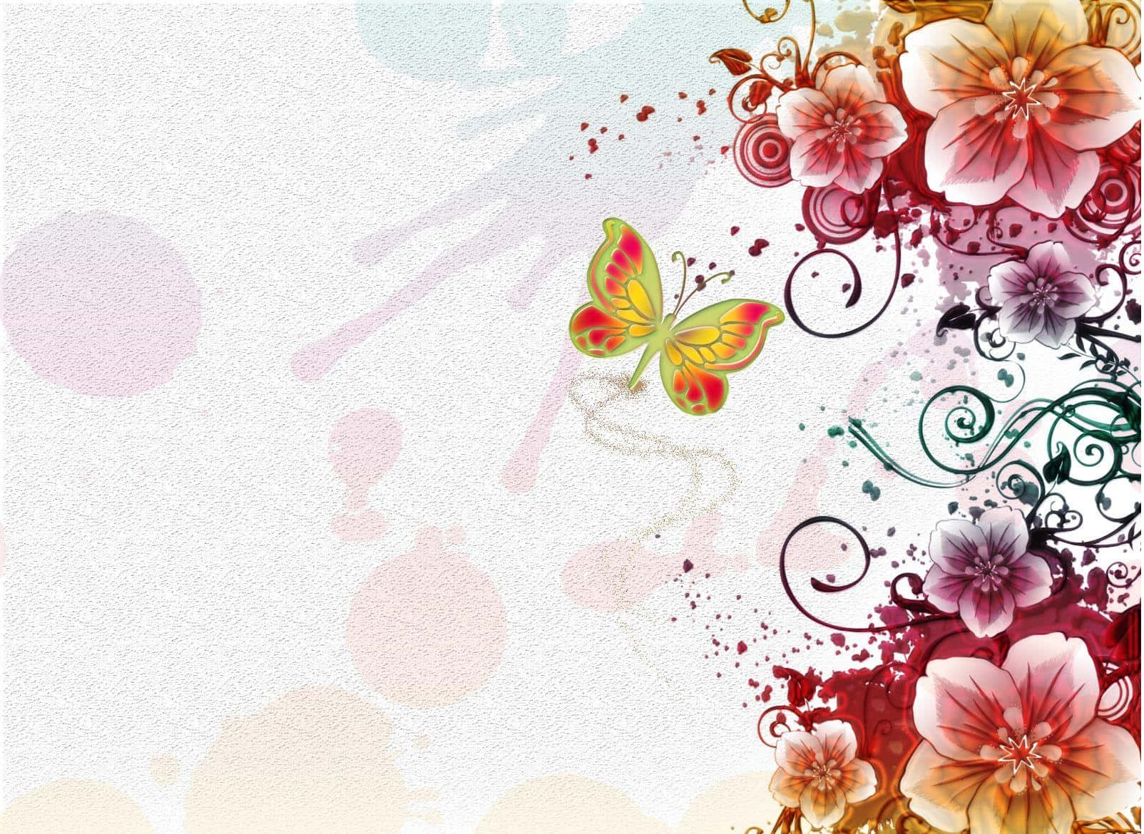蝴蝶在紋理粉彩背景上的花卉漩渦附近。 — 唯美蝴蝶動圖 壁紙